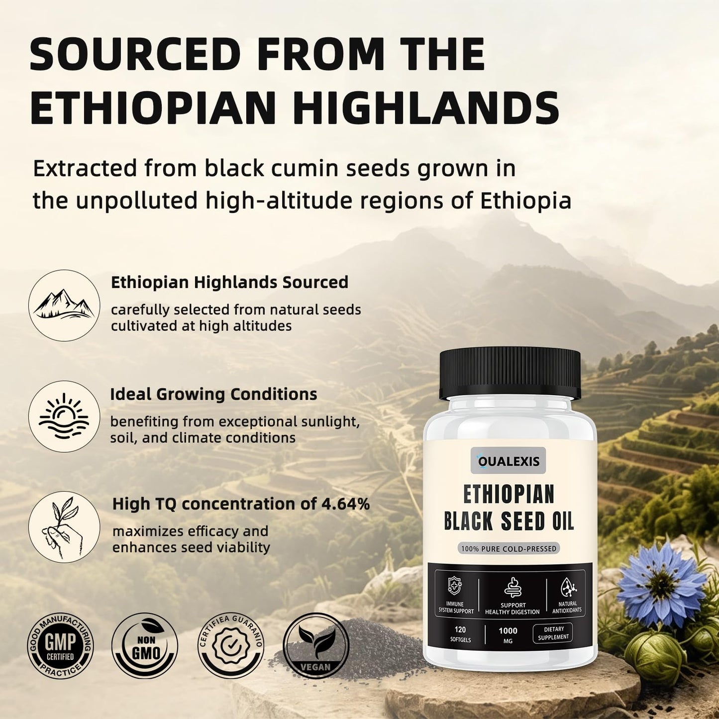 QualExis Ethiopian Black Seed Oil Softgels 120 Count