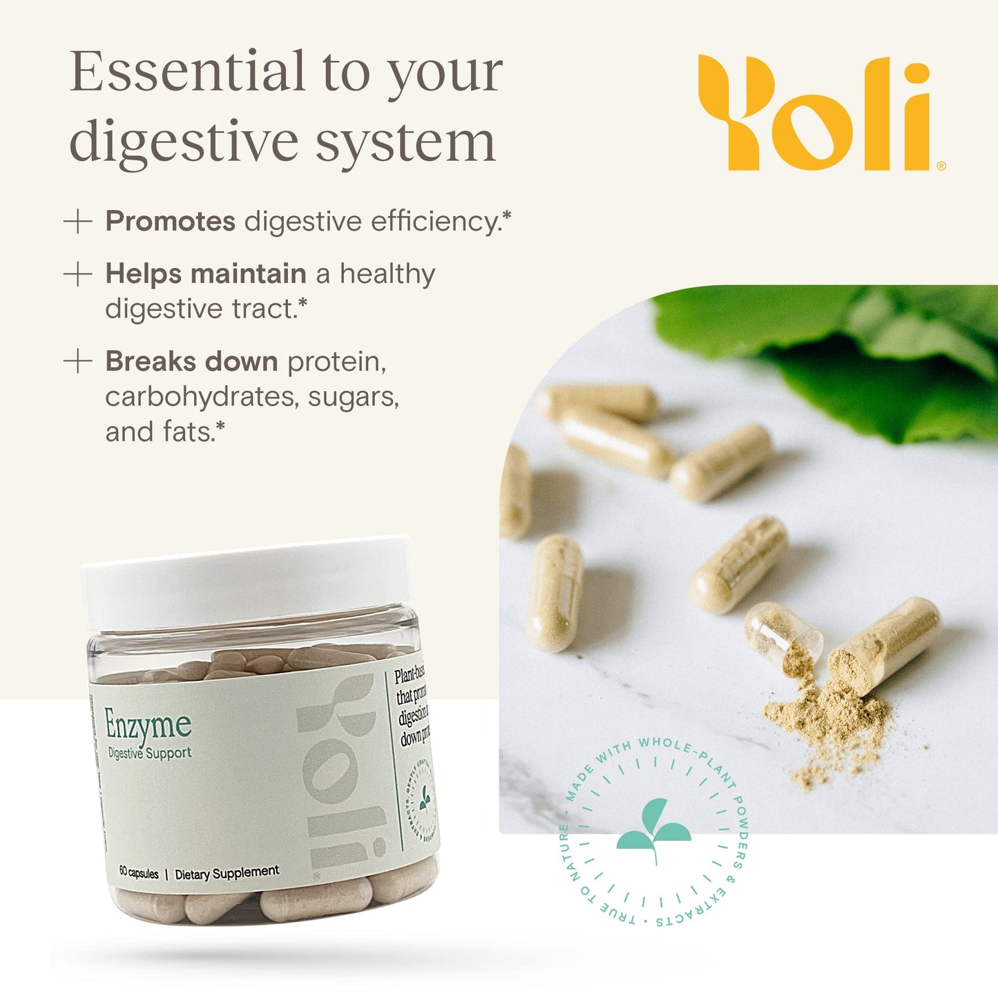 Yoli Enzyme Digestive Enzymes for Gut Health, Men and Women, Capsules, 60