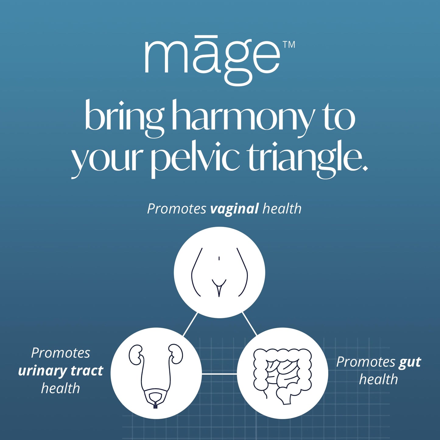 Solv Wellness Mage Probiotic for Her 30 Capsules