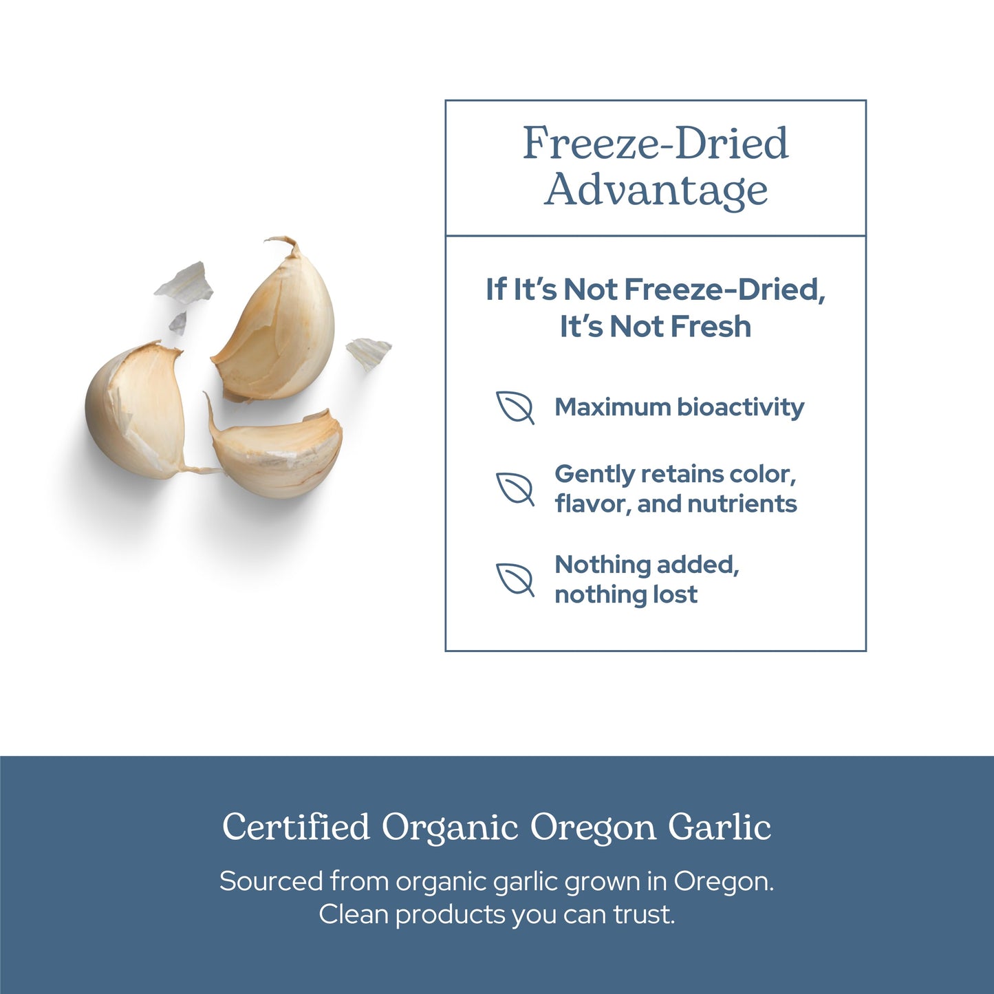 Eclectic Institute Garlic Capsules 90 Count