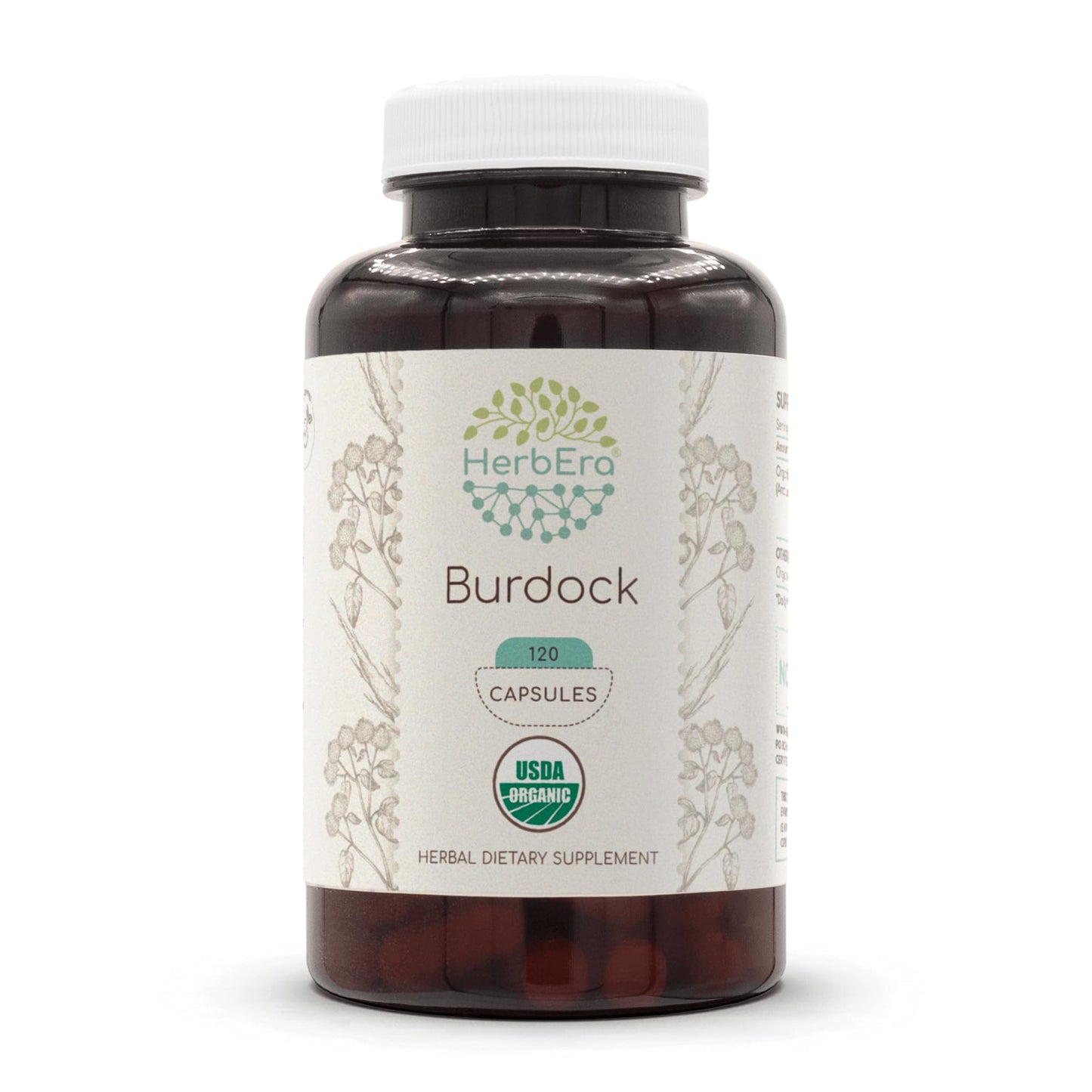 HerbEra Burdock Capsule 120 Count