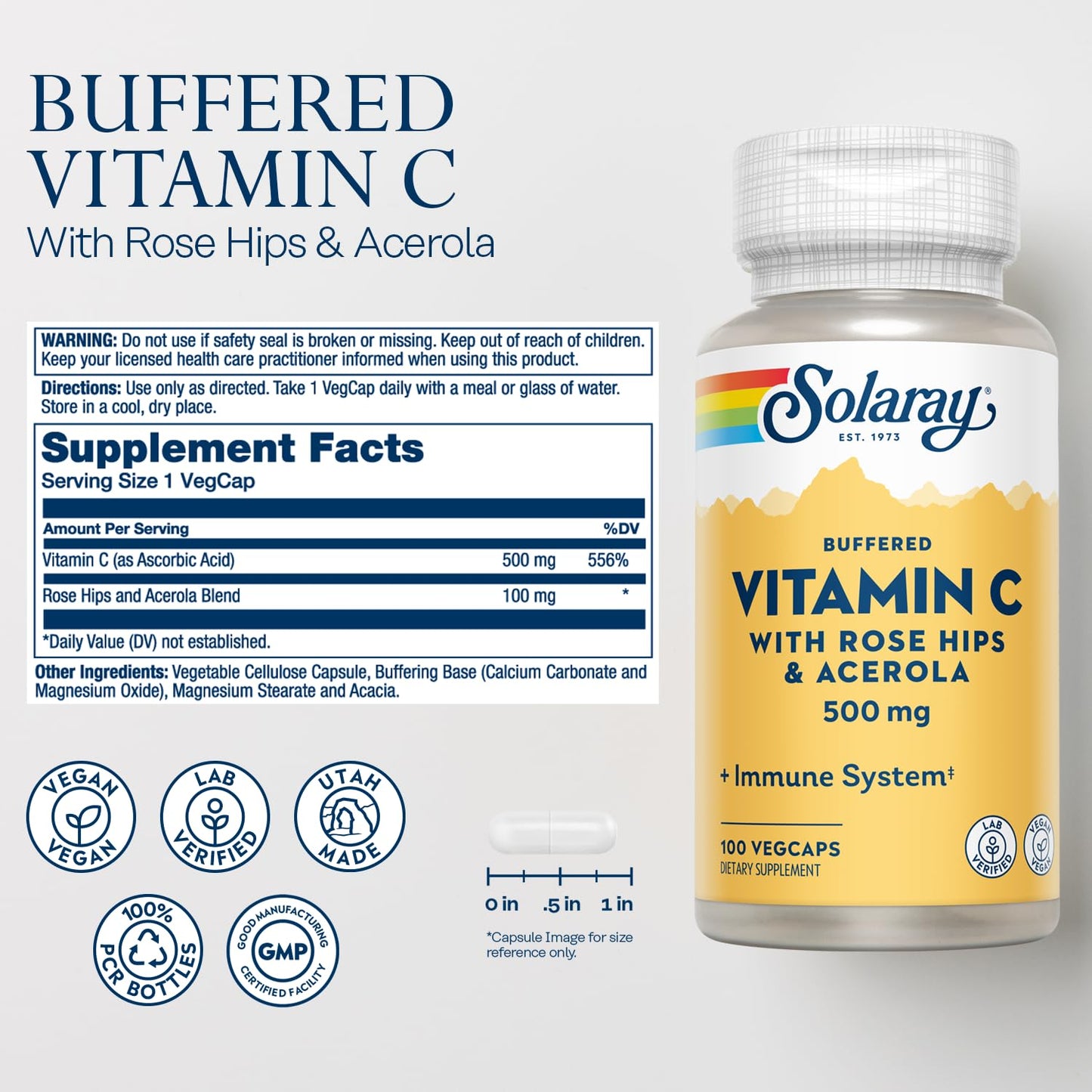 SOLARAY Buffered Vitamin C 500mg with Rose Hips and Acerola - Immune Support - Capsules 100