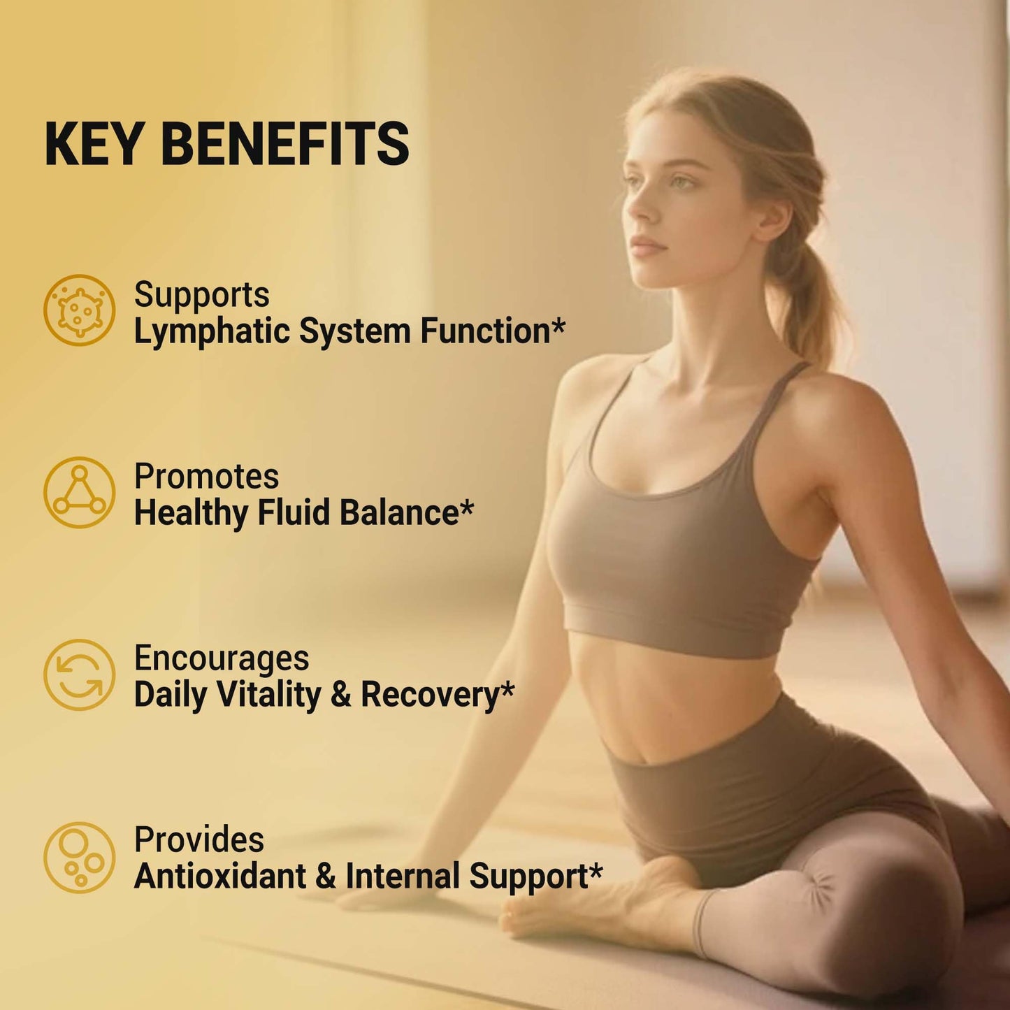 VerdiGusto Lymphatic Supplement Softgels 240