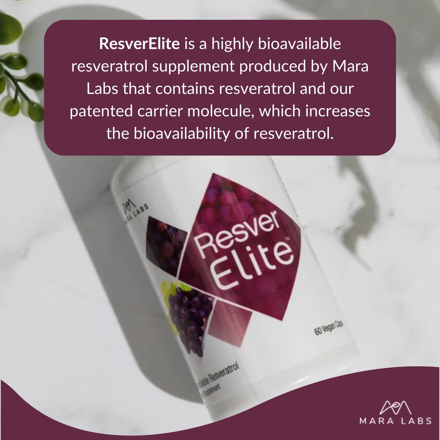 BrocElite ResverElite Capsule 60 Count