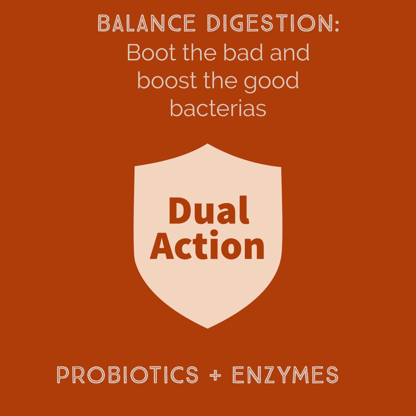 iEnzymes Bacillus B3 Spore-Based Probiotic + Enzymes for Gut Health & Microbiome Support, Shelf-Stable Daily Probiotic with Bacillus Coagulans, Bacillus Subtilis & Bacillus Clausii, 60 Capsules