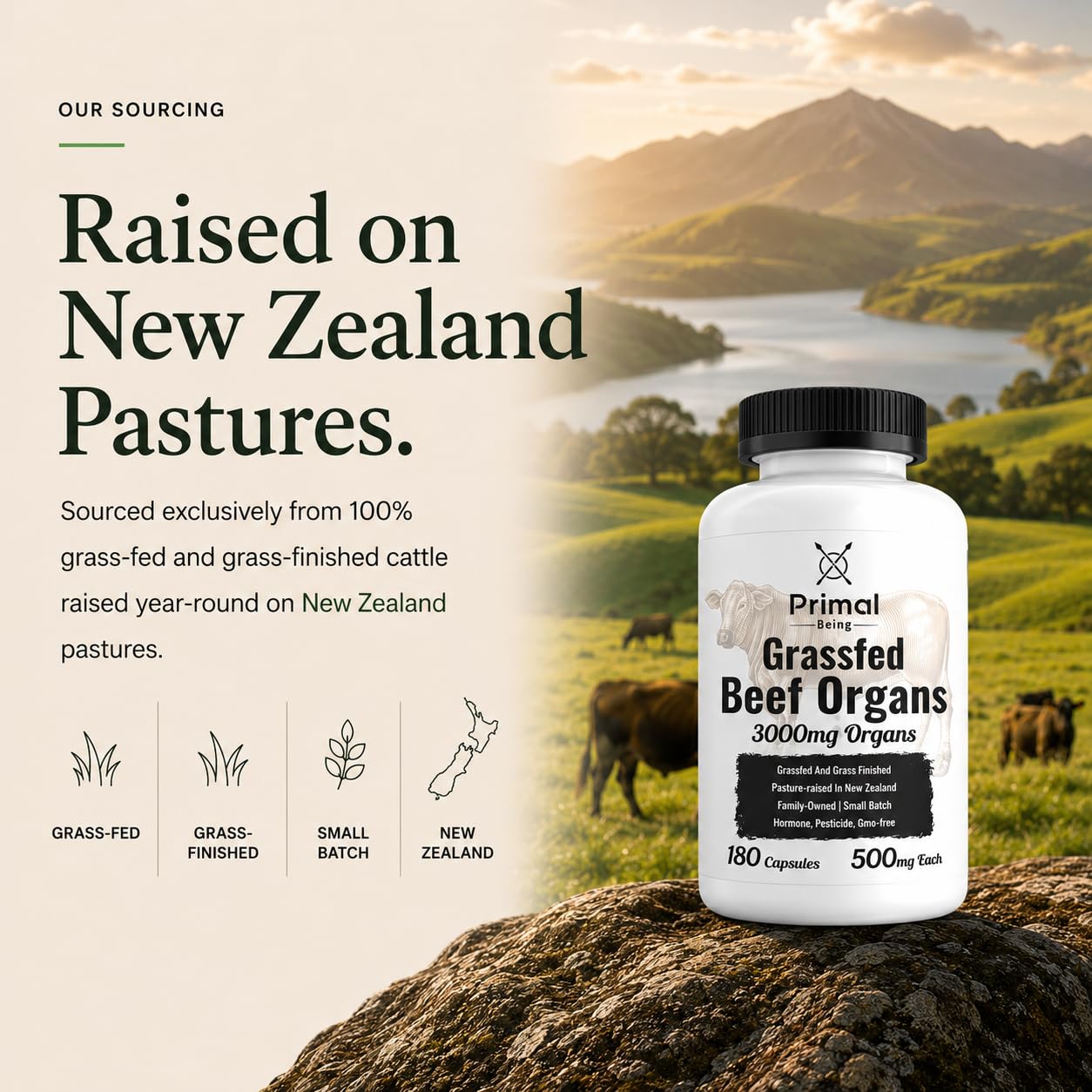 Primal Being Grassfed Beef Organ Complex Capsule 180 Count