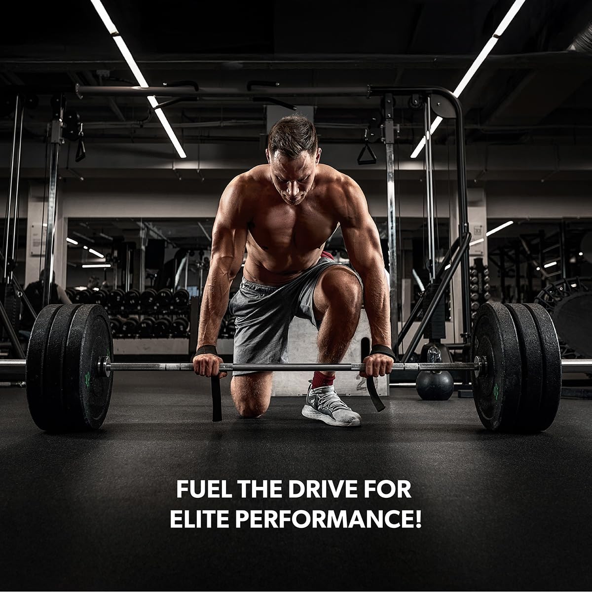 SAN Performance Creatine 1200g Powder, 42