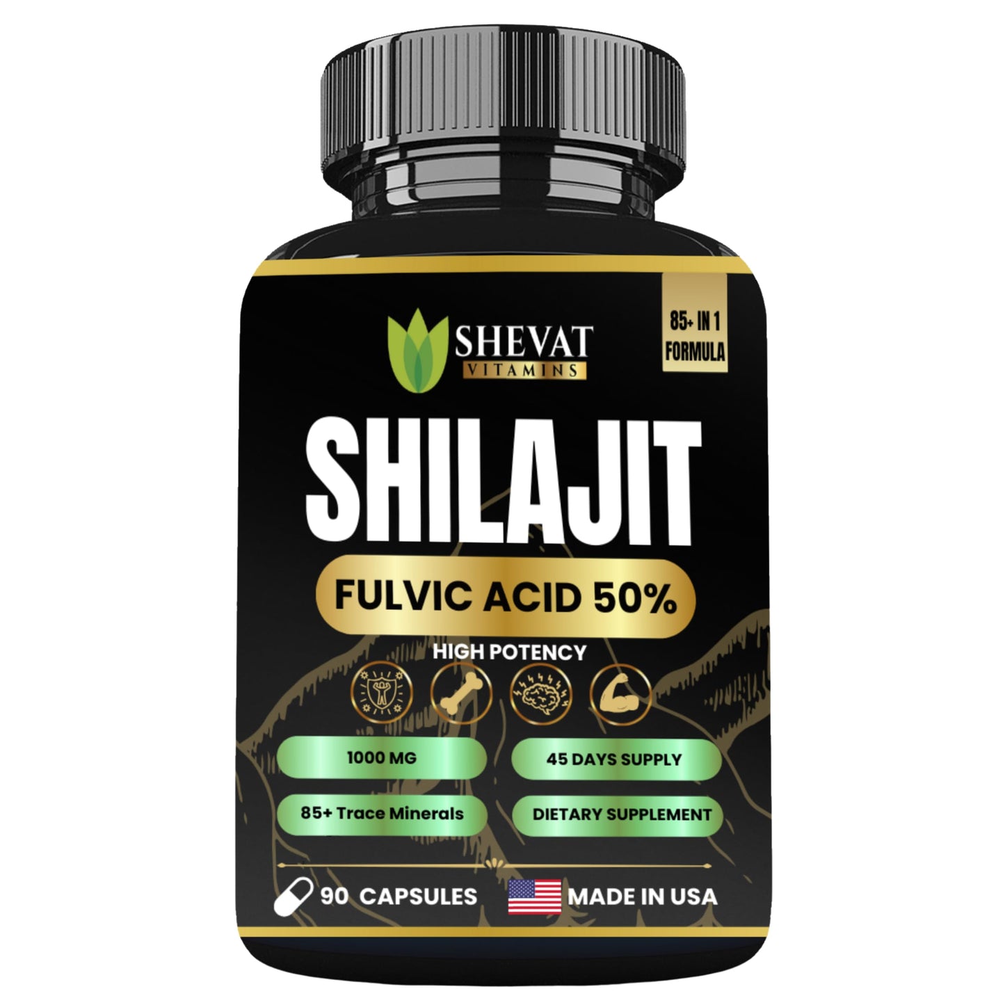 Shevat Vitamins Shilajit Capsules 90 Capsules