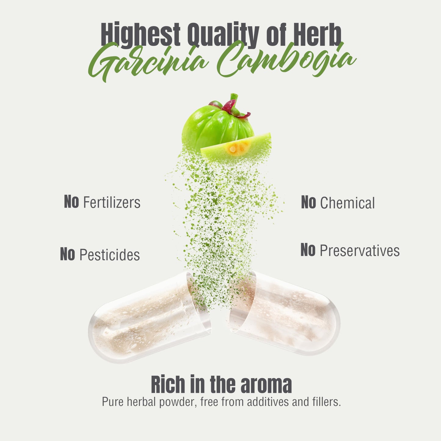 Herbsforever Garcinia Cambogia Extract Supplement Capsule 1 Count