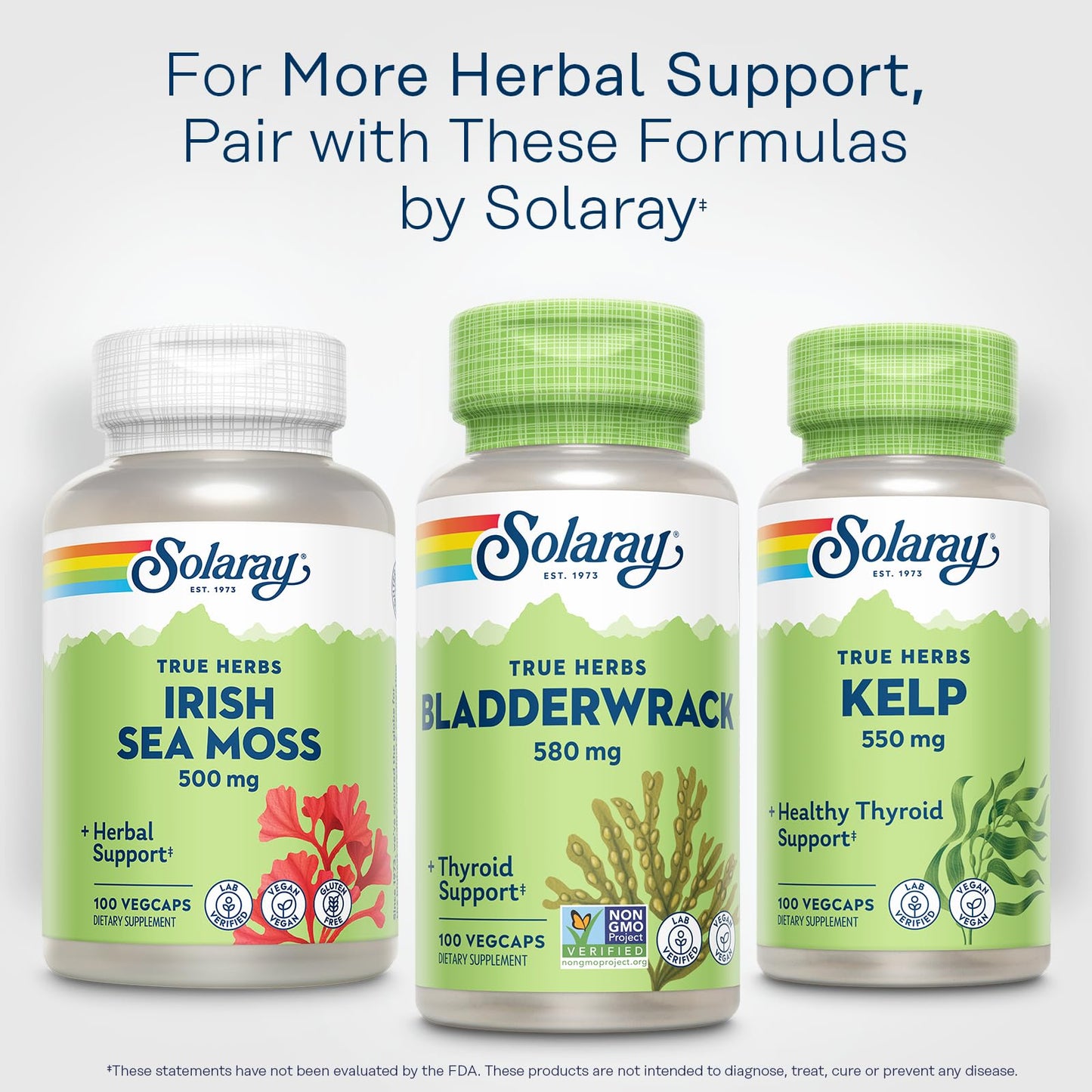 Solaray Bladderwrack 580 mg Capsules, 100 Count