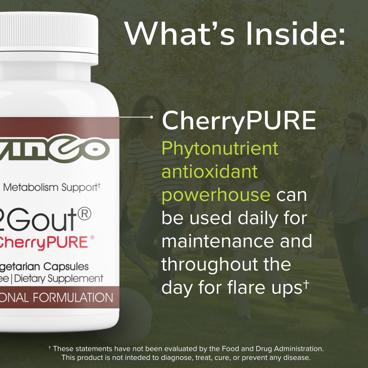 Vinco N2Gout with CherryPURE Daily Supplement Capsules 60 Count