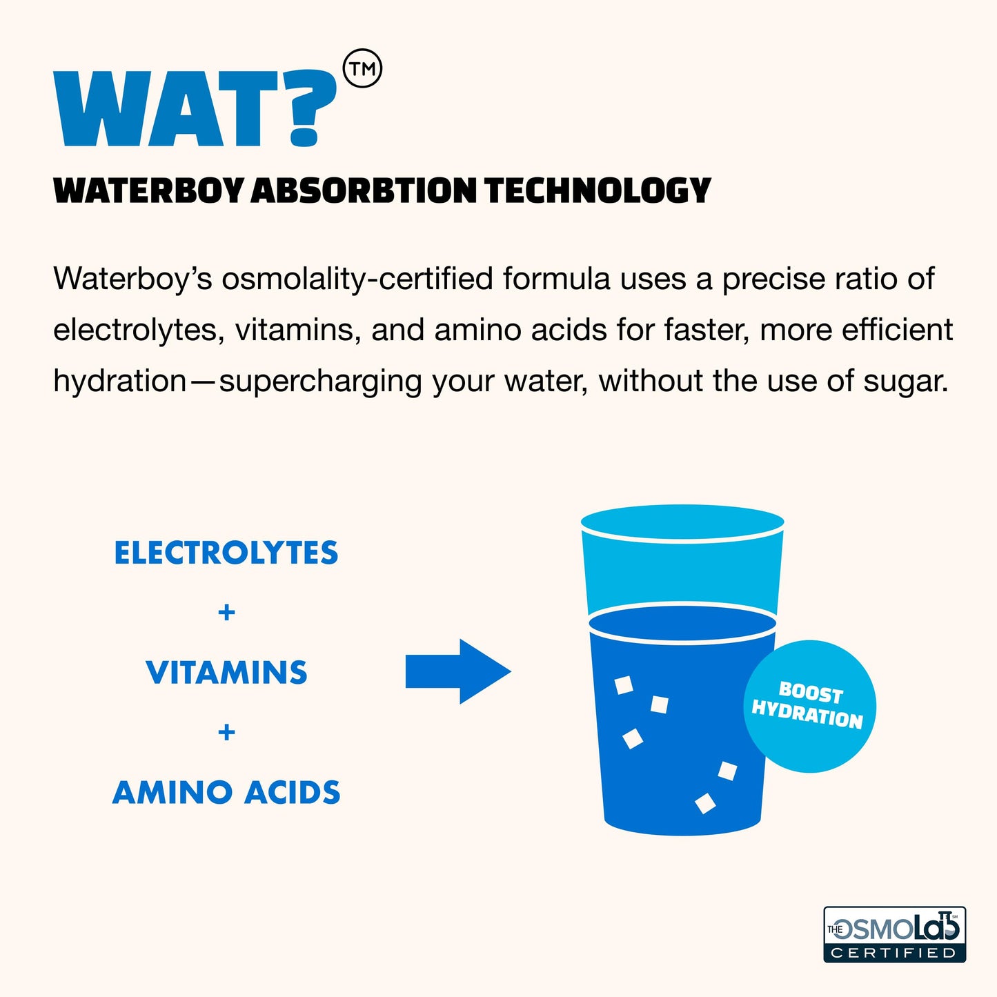 Waterboy Weekend Recovery Variety Pack Sugar Free Electrolytes Powder 24 Count
