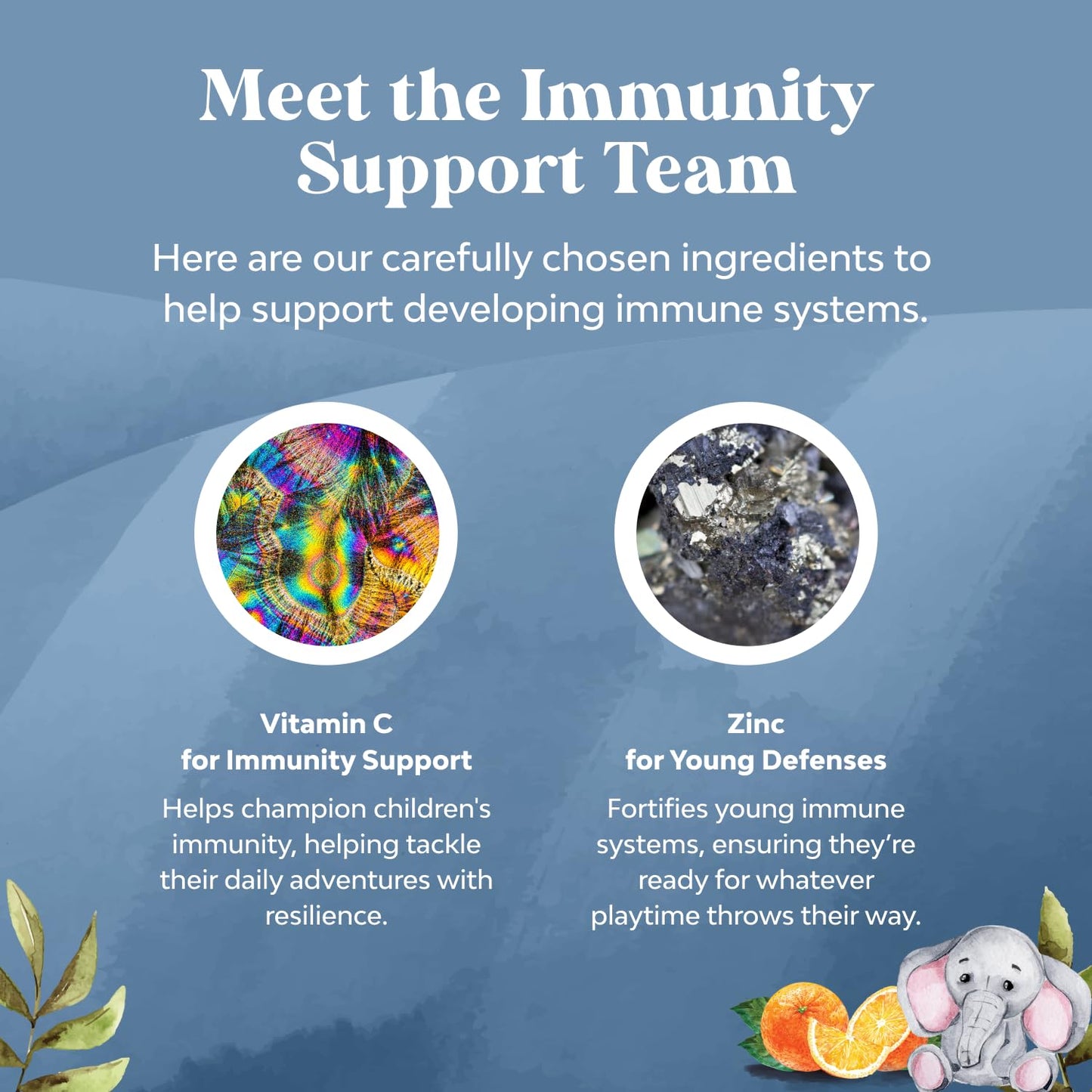 Natures Craft Kids Immunity Support Gummy Vitamin C with Zinc and Echinacea Immune Booster, Vegan Gluten Free & Gelatin Free Chewable, 60 Count