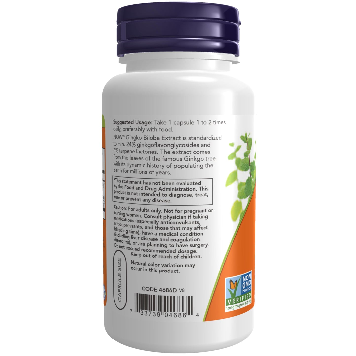 NOW Foods Ginkgo Biloba 60 mg, 24% Standardized Extract, Veg Capsules, 60 Count