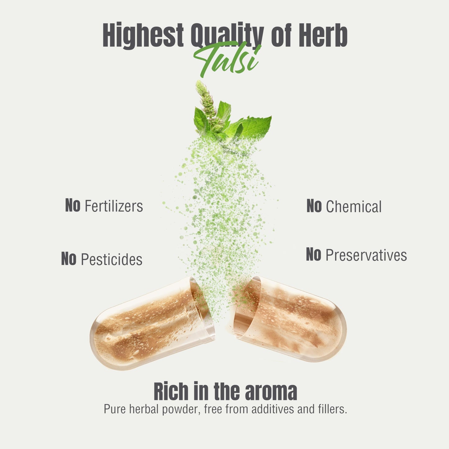 Herbsforever Tulsi Holy Basil Extra Strength 10:1 Extract, Equiv. to 2250mg Leaves Powder Per Serving, 60 Veg Capsules