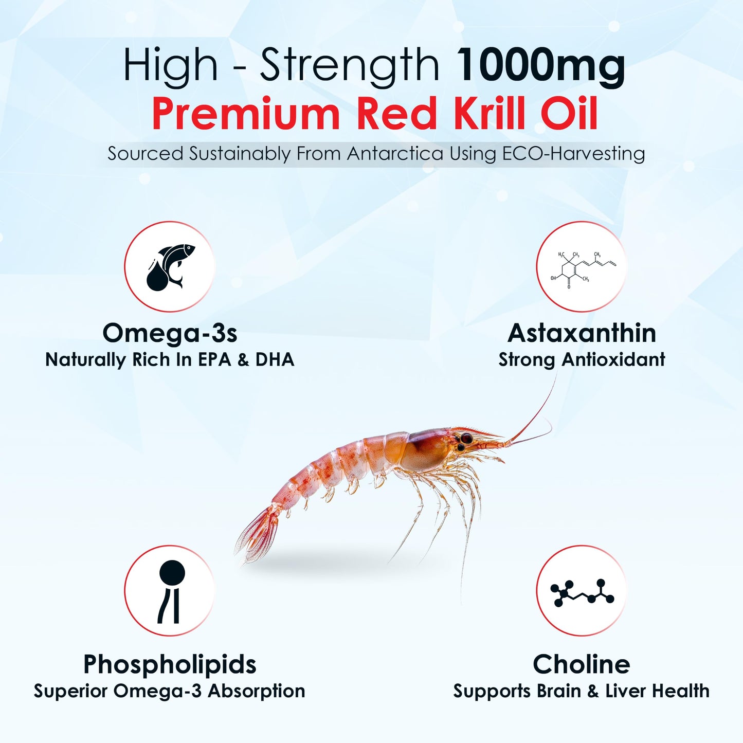 Rawleigh Superba Boost Antarctic Krill Oil 1000mg Softgel, 60 Count