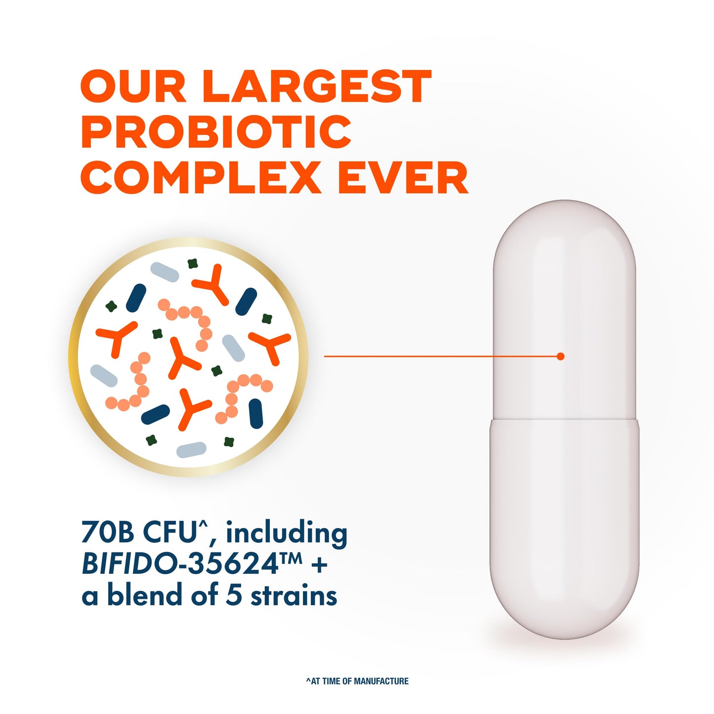 Align Probiotic 70 Billion CFU 6 Strain Blend Capsule 30