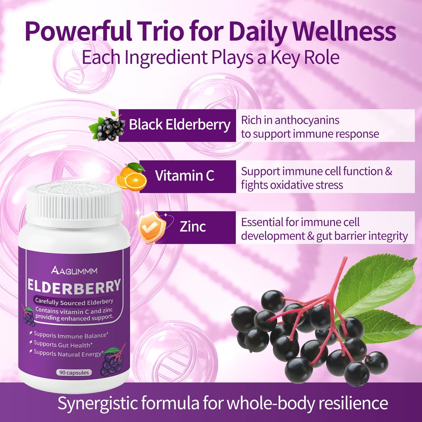 AAGUMMM Organic Black Elderberry Capsules, 90 Capsules