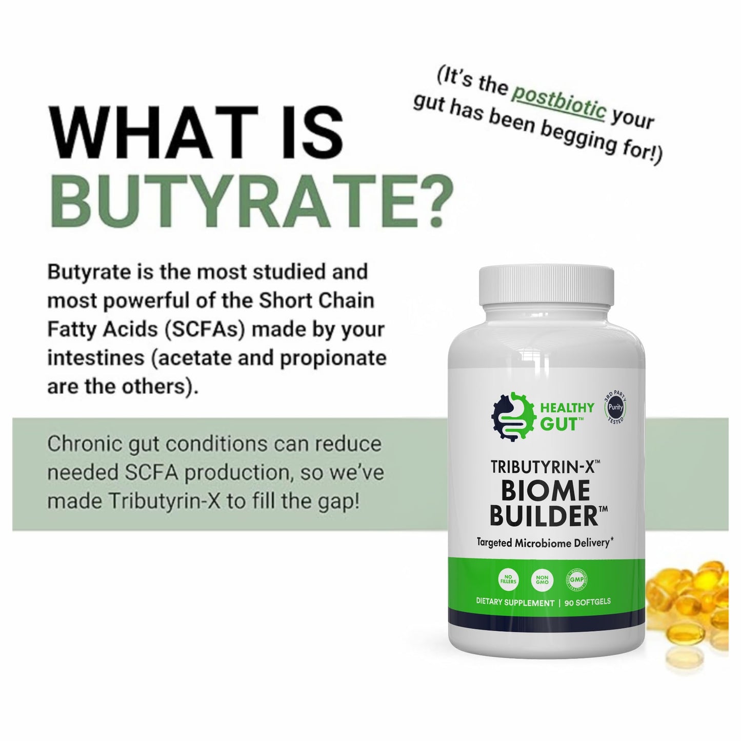Healthy Gut Tributyrin-X Biome Builder & Magnesium-HP, 180 Capsules