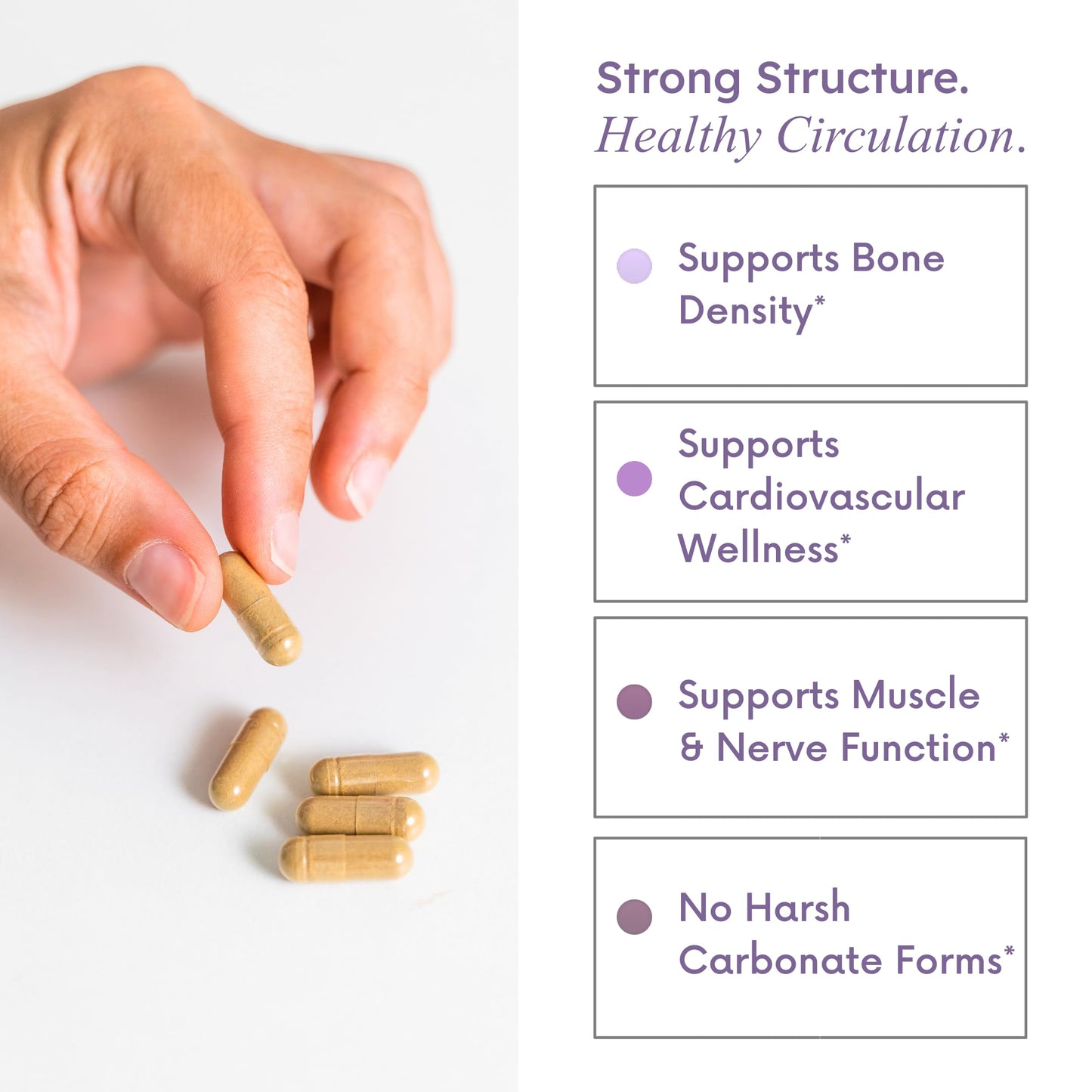 Stomach Bloom Bone and Heart Health Supplement Capsule 60 Capsules