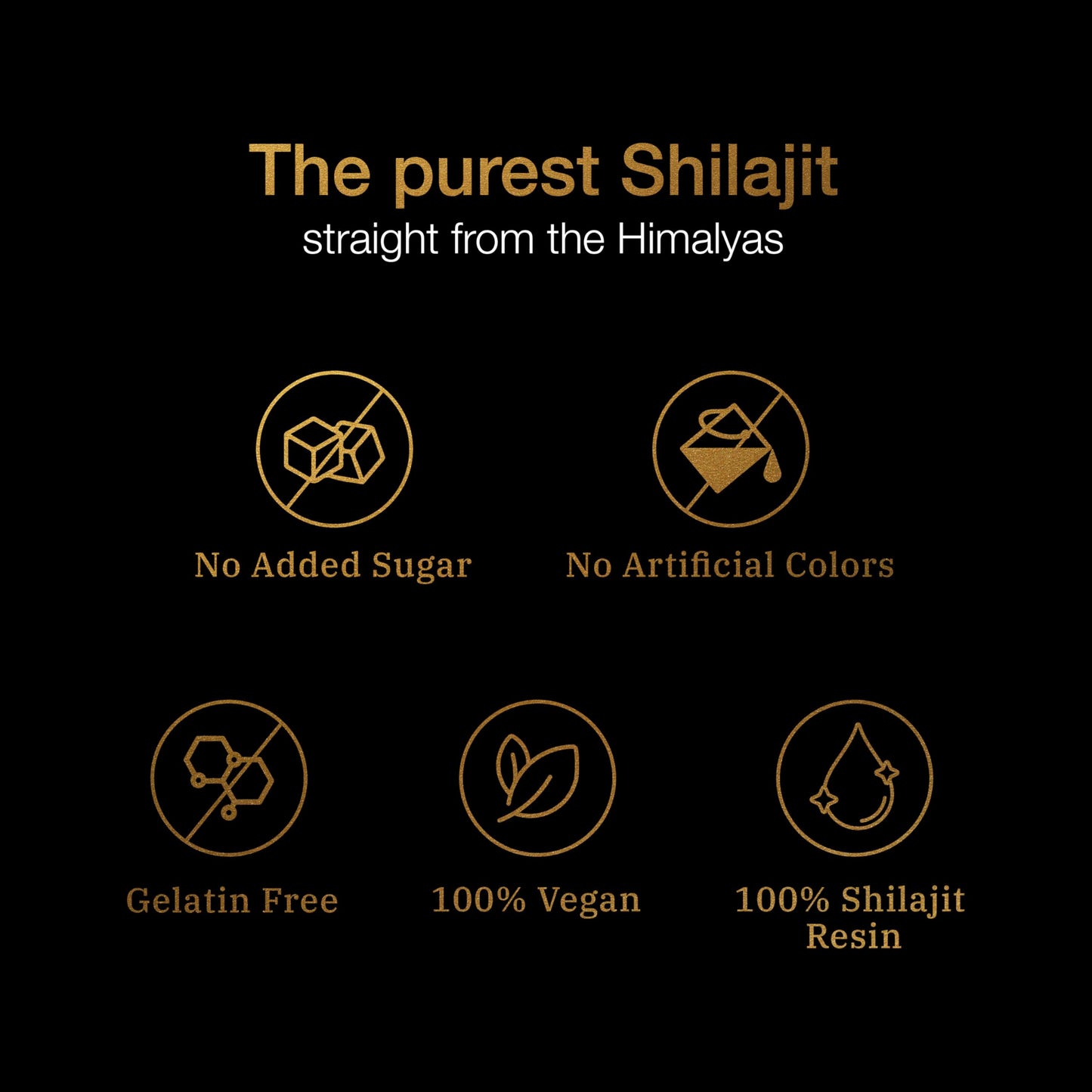 Be Bodywise Pure Himalayan Shilajit Gummies 120 Gummies