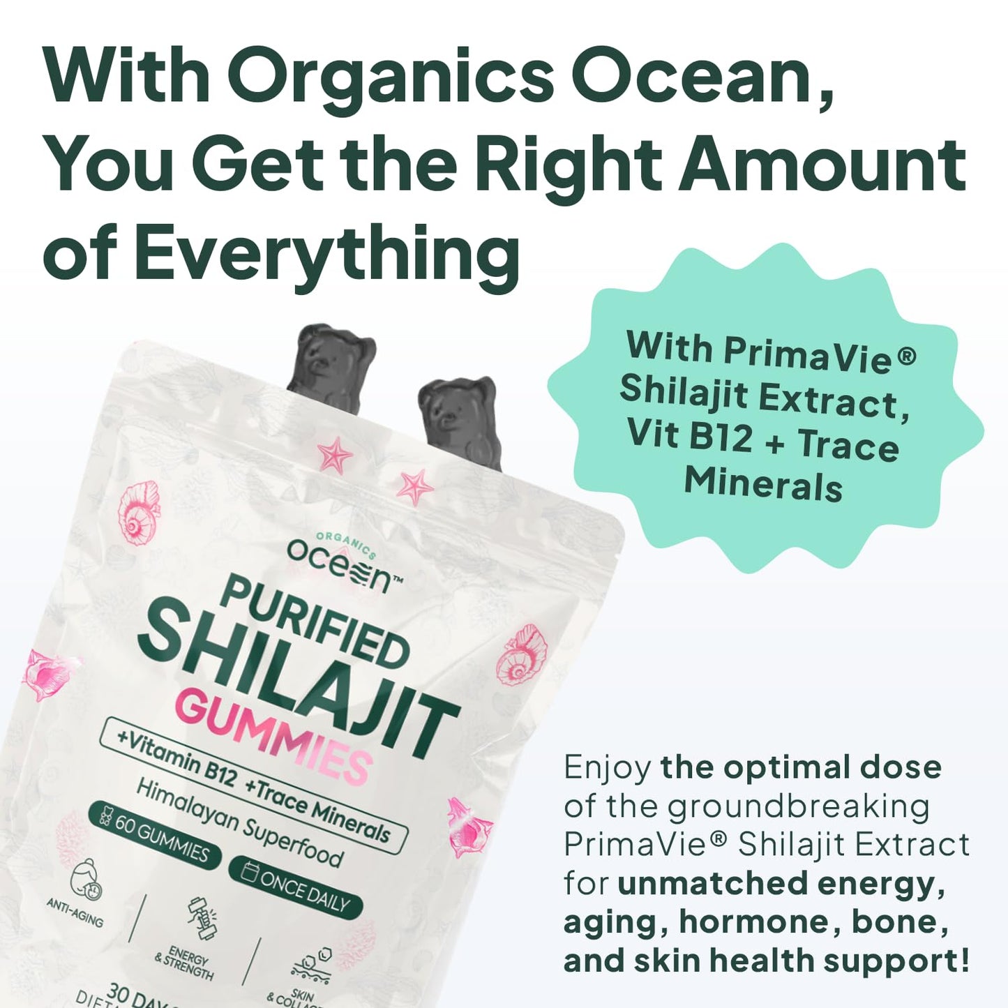 Organics Ocean Shilajit Gummies 60 Count