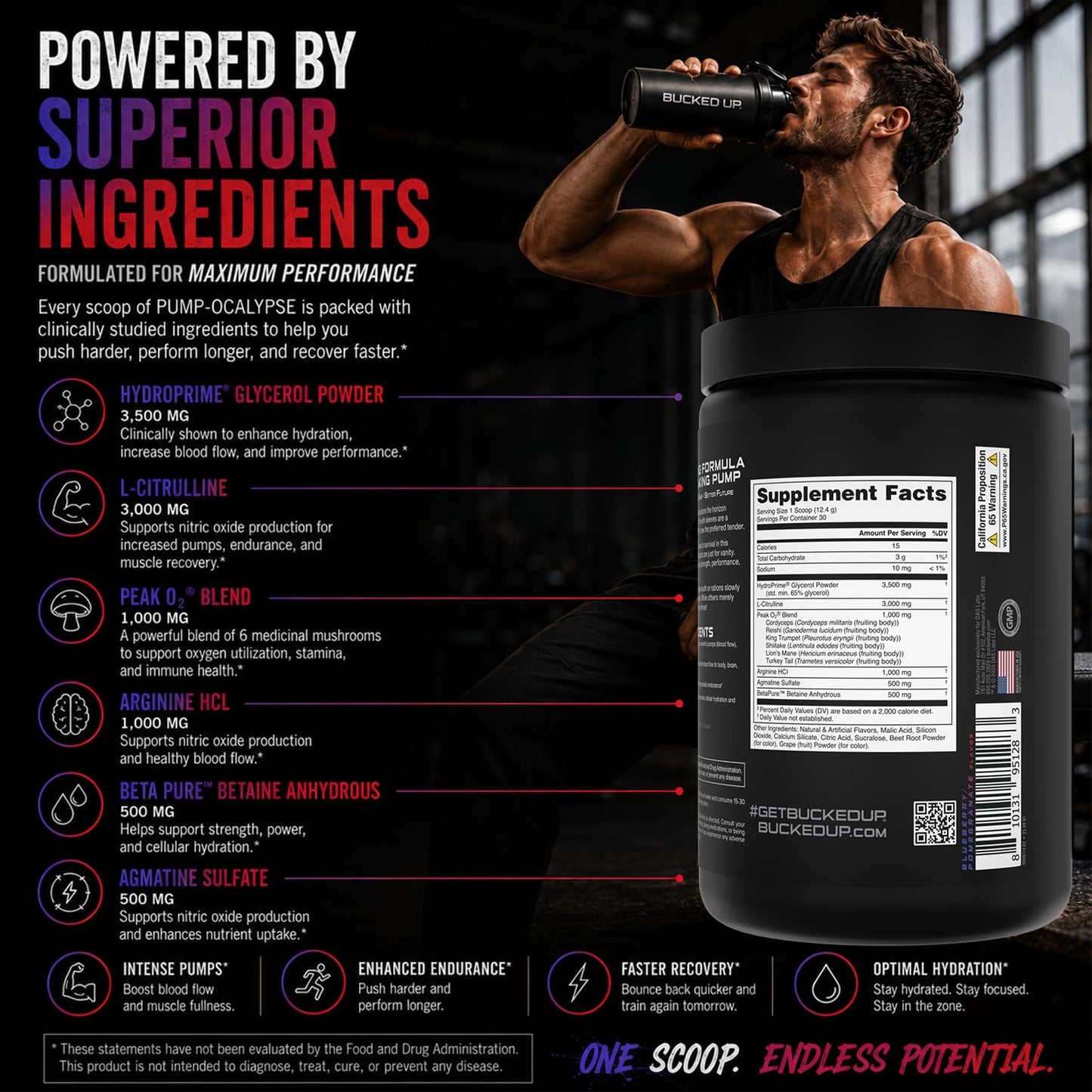 Bucked Up Pump-ocalypse Blueberry Pomegranate Powder 13.1 oz