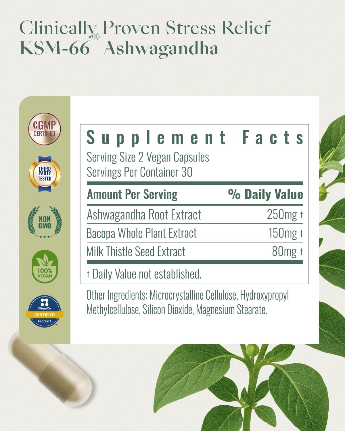 Upbe Ashwagandha Supplements - KSM-66® with Bacopa & Milk Thistle, 60 Vegan Capsules
