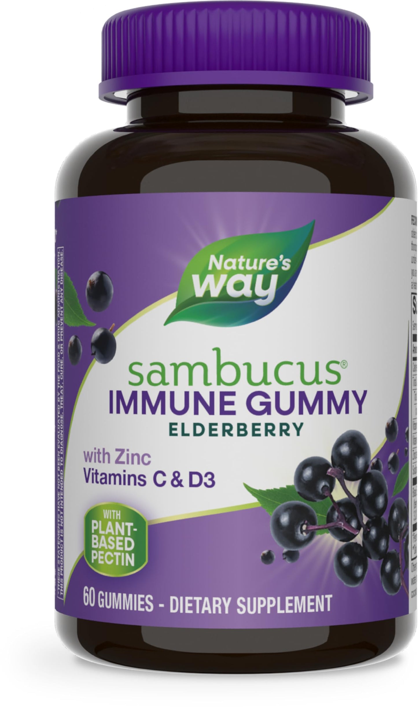 Garden of Life Dr. Formulated Probiotics Organic Kids+ Plus Vitamin C & D Gummies, 60 Count