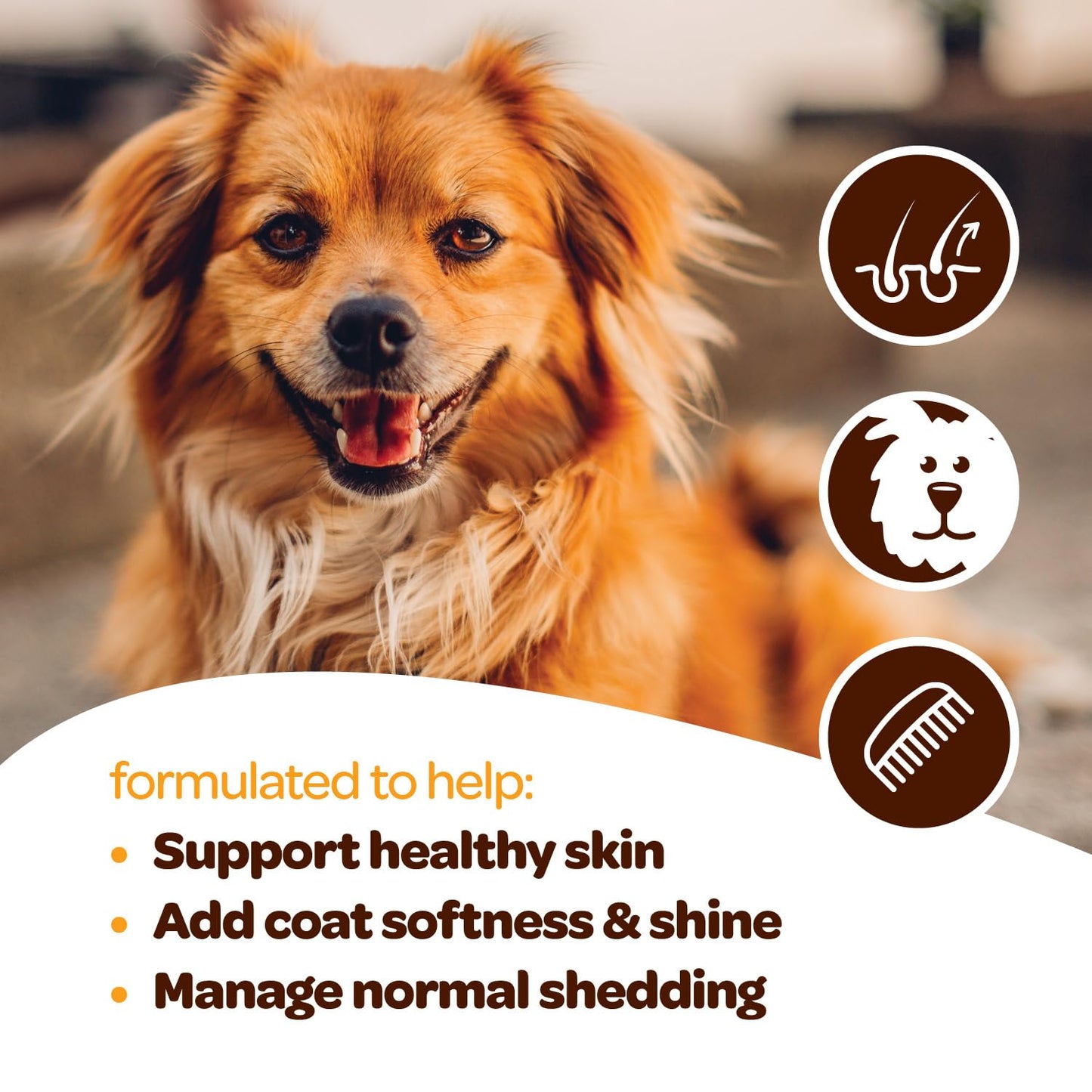 Ready Pet Go! Skin and Coat Omega-3 Supplement for Dogs Soft Chews 60 Count