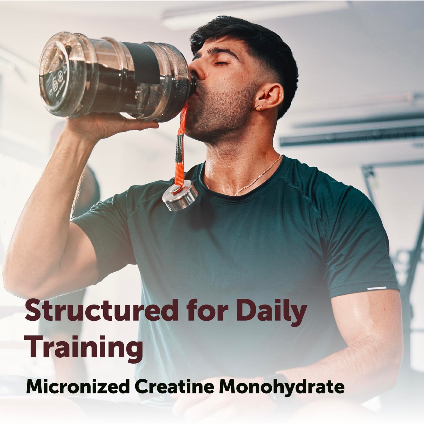 Micro Ingredients Creatine Monohydrate Powder 17.6 oz