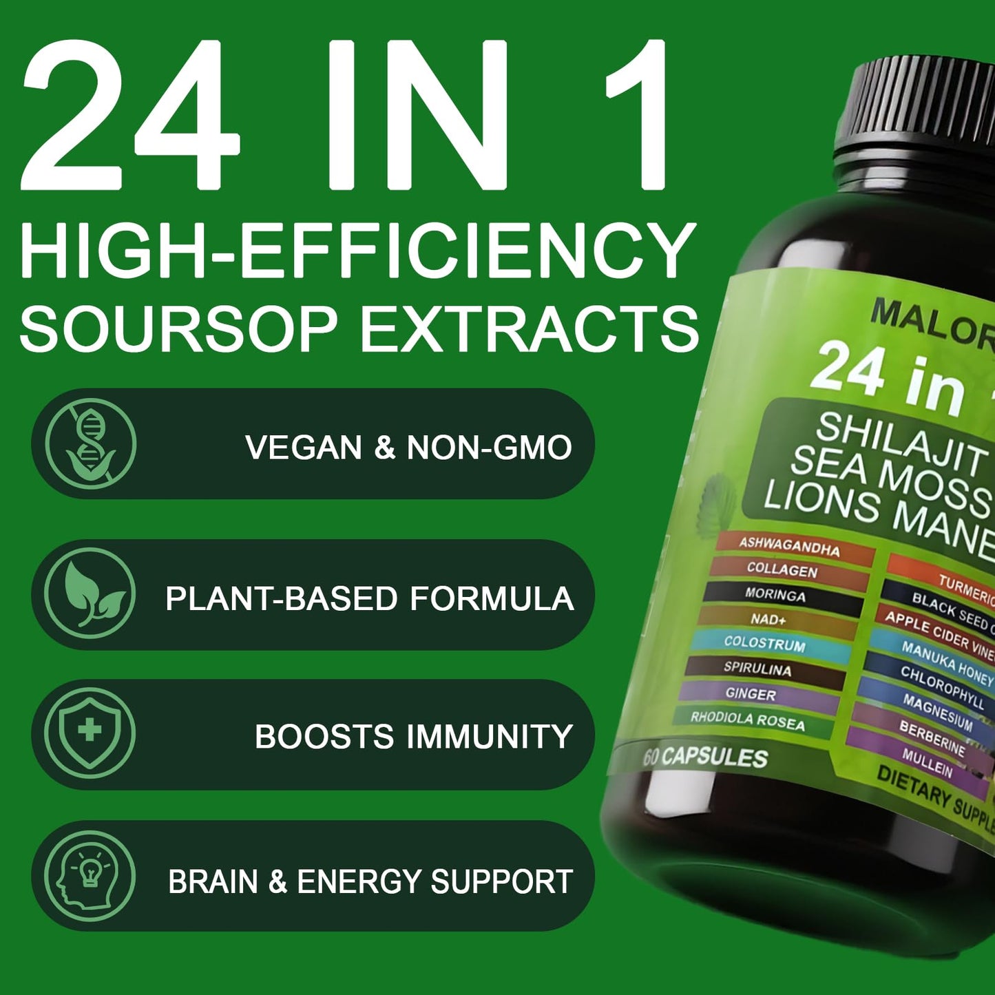 BENIX 24 in 1 Soursop Graviola Capsules, 60 Capsules