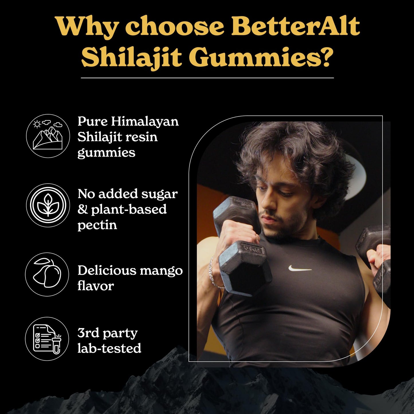 Better Alt Pure Himalayan Shilajit Capsule 60 Count
