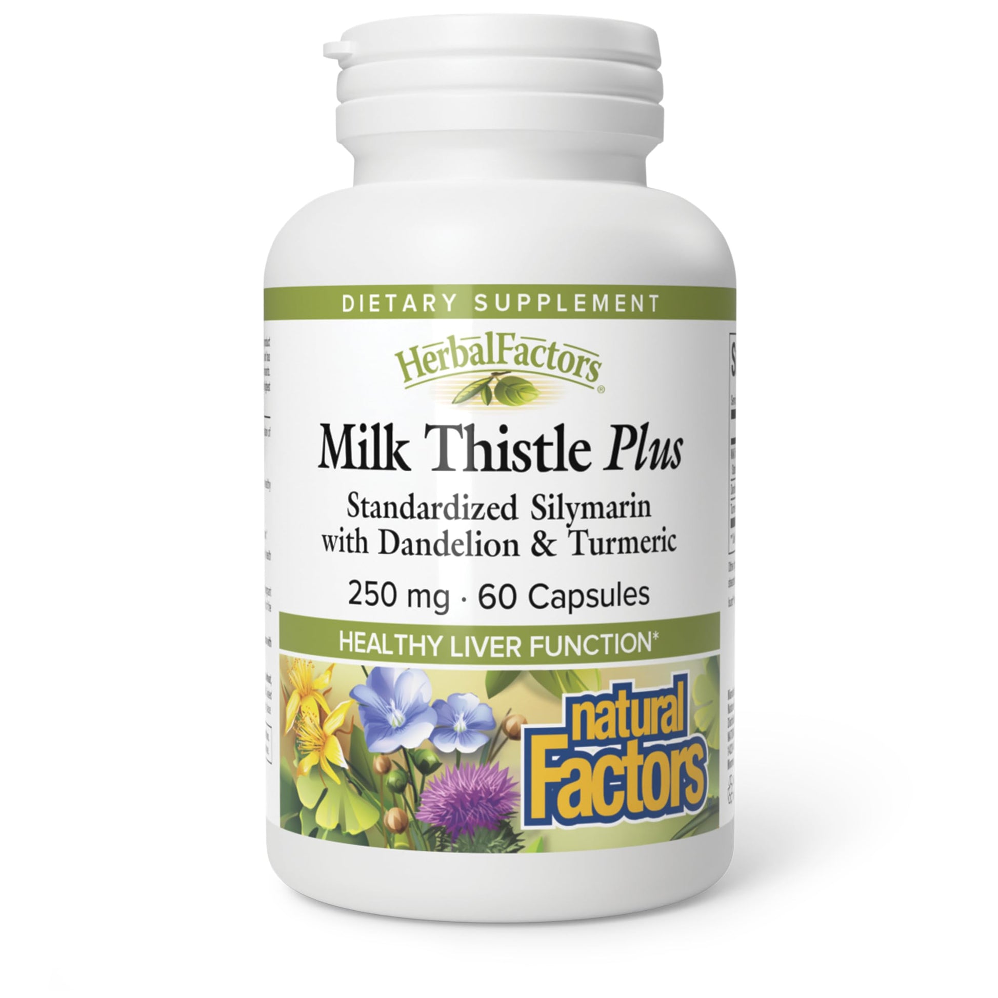 Natural Factors Milk Thistle 250 mg, 60 Capsules