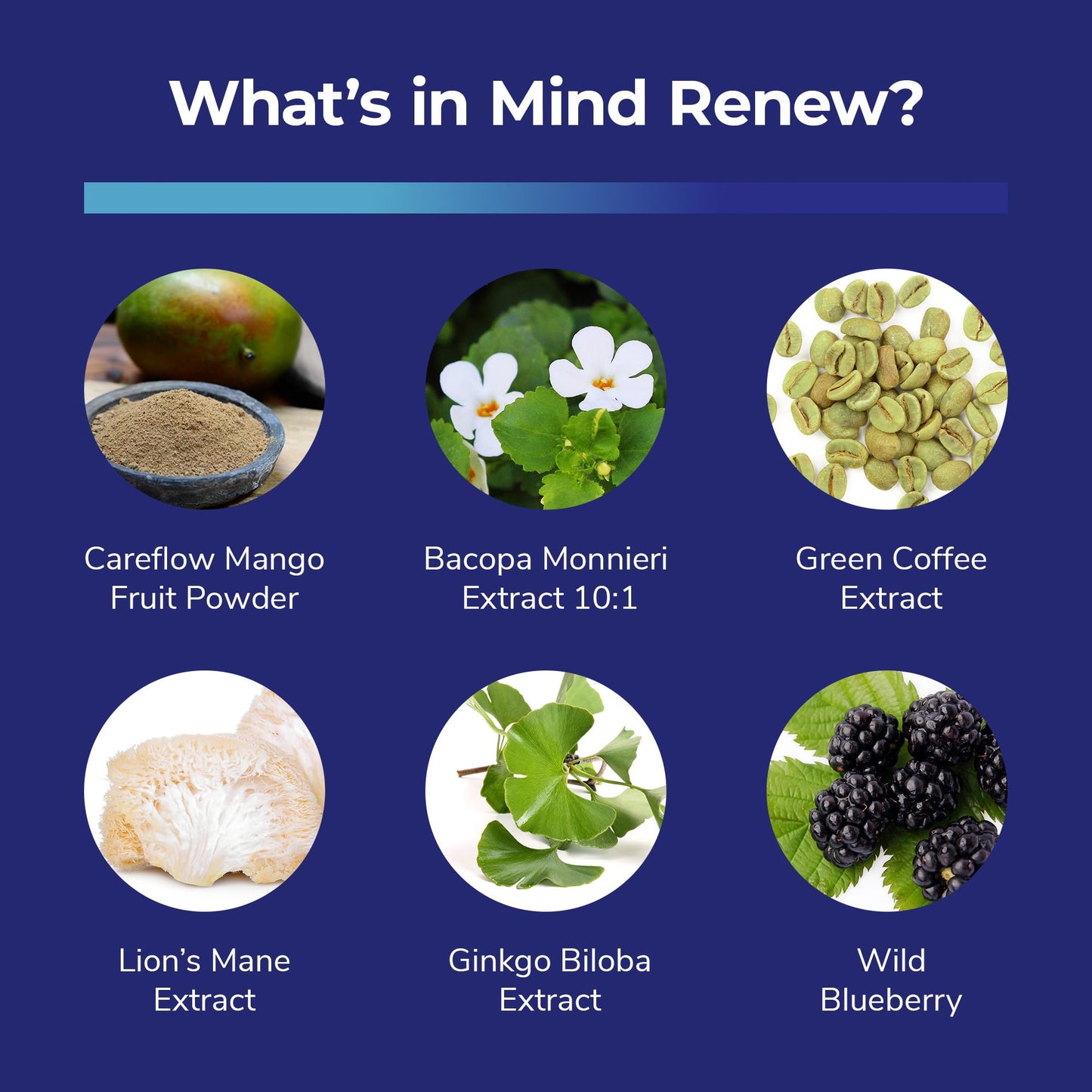 Bright Naturals Mind Renew Capsule, 60 Capsules