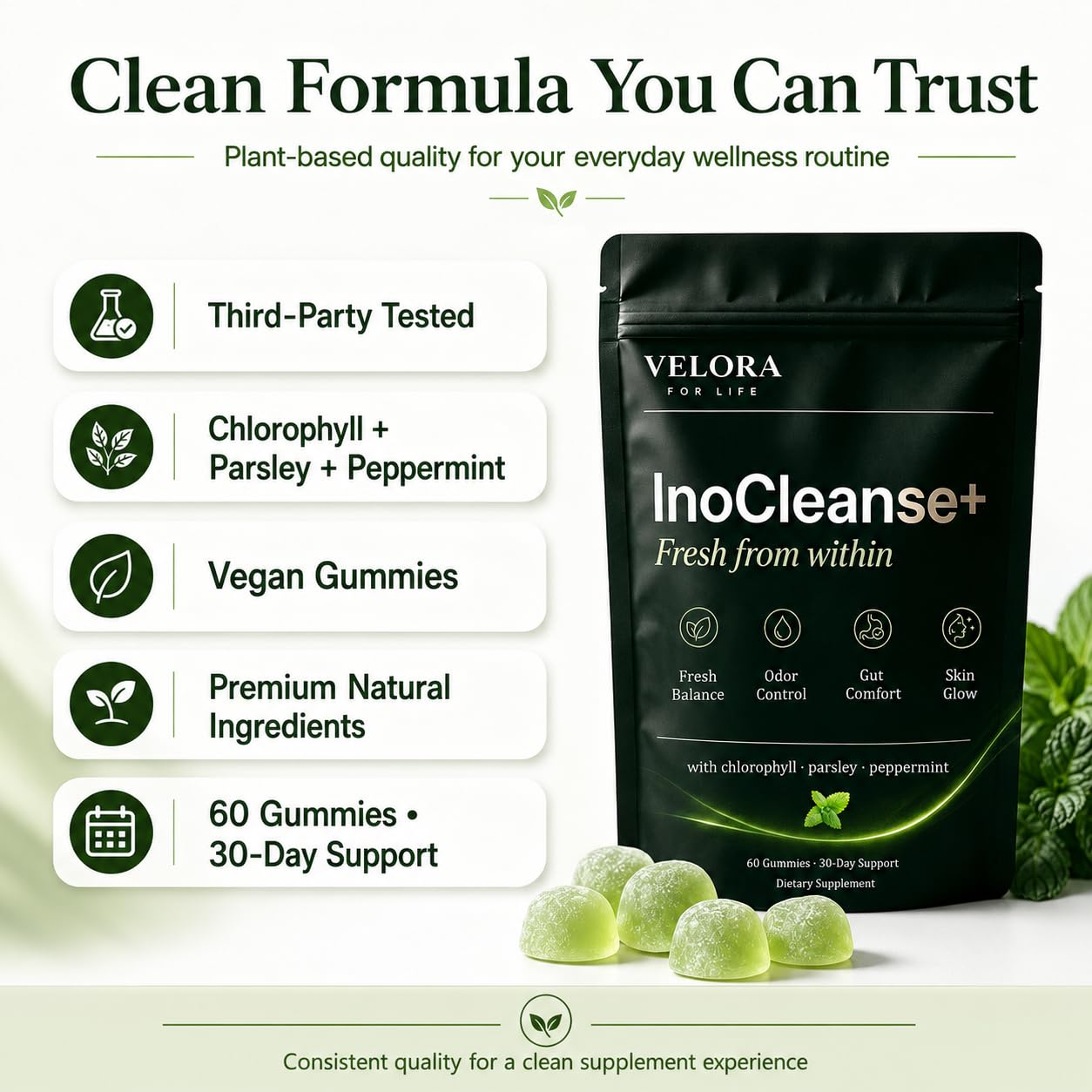 Pillow Daddy Chlorophyll Gummies Inocleanse+ Fresh Breath & Body Deodorizing Supplement with Chlorophyll, Parsley & Peppermint Extracts, 60 Vegan Gummies