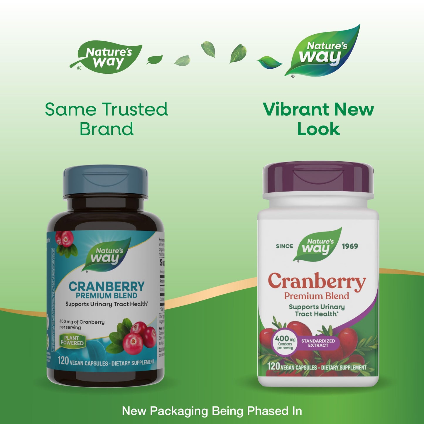 Nature's Way Premium Blend Cranberry Urinary Tract Health Support Capsule, 120 Capsules