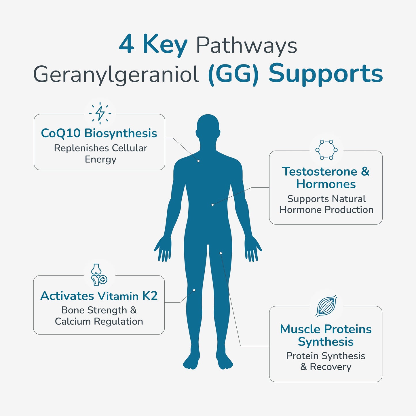WELLNESS EXTRACT Geranylgeraniol GG 150mg Annatto-Derived Supplement for CoQ10 Support, Cellular Energy & Muscle Health Softgels 60