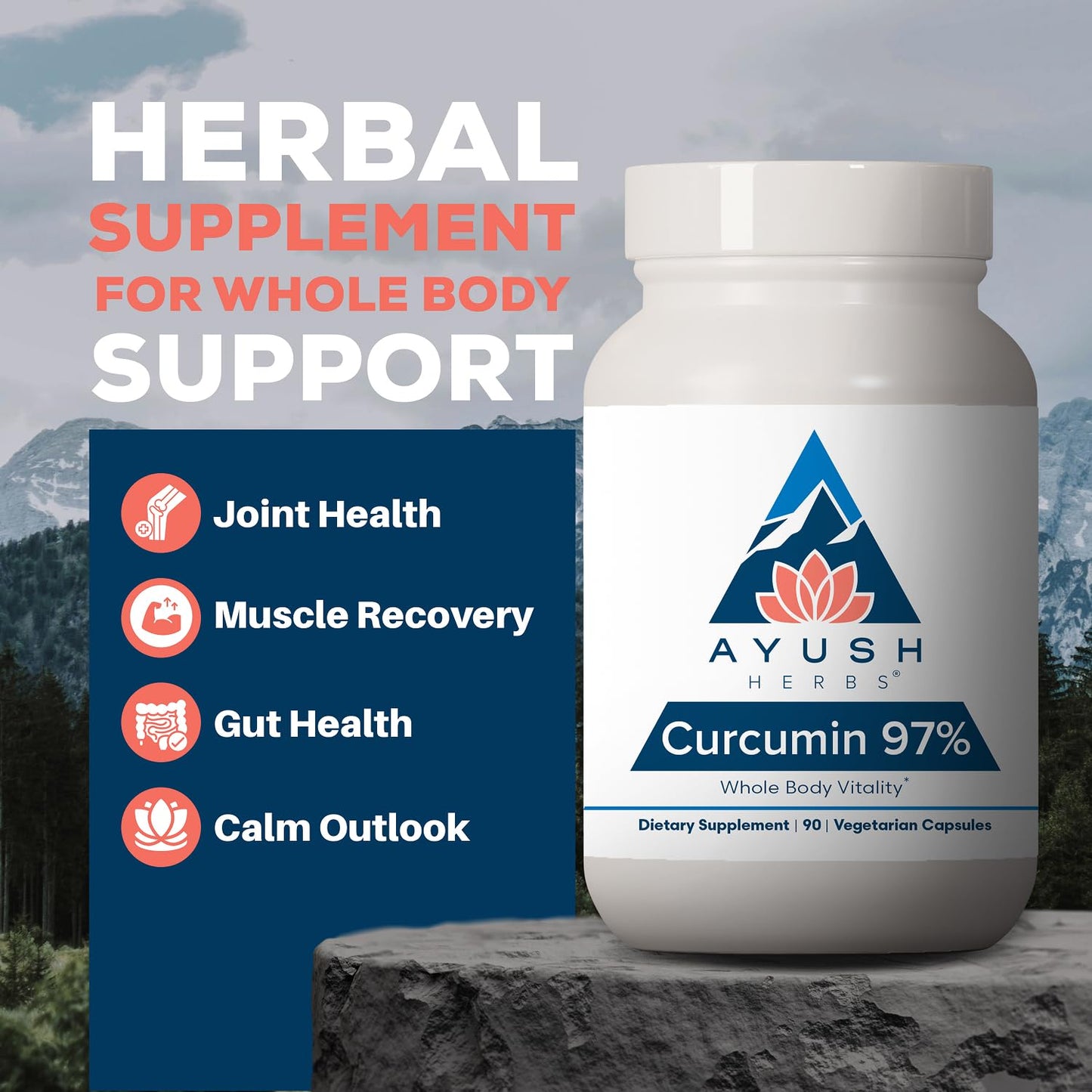 Ayush Herbs Curcumin 97% Curcumin Supplements Capsules 90 Count