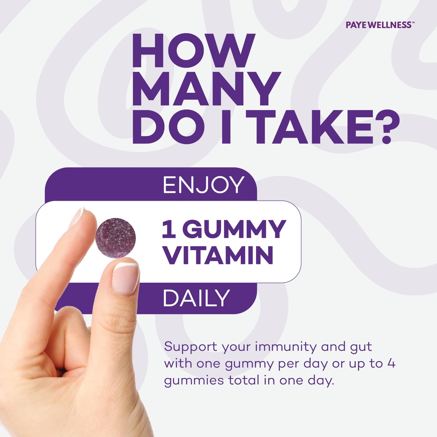 PAYÉ Elderberry Gummies 70 Count