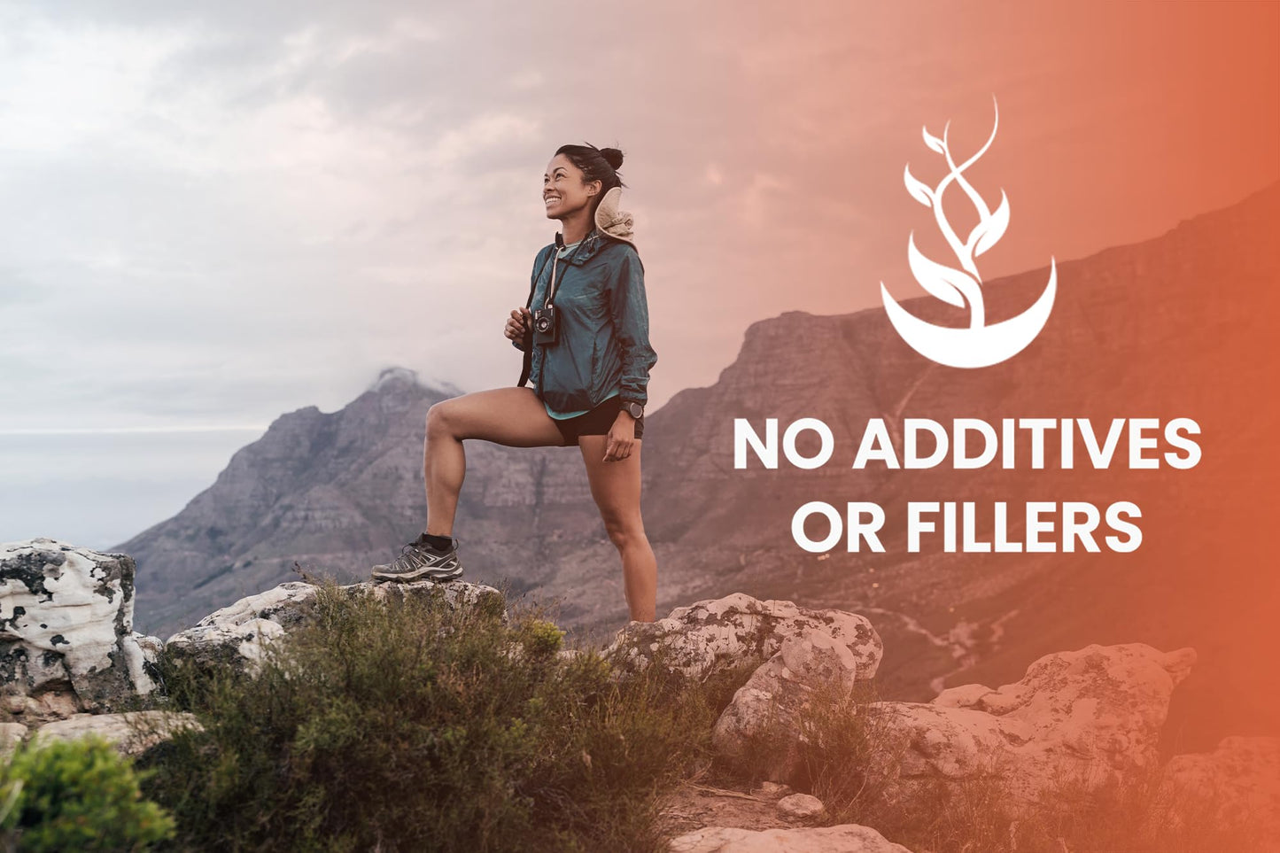 Pure Original Ingredients Fo-Ti Capsule 365