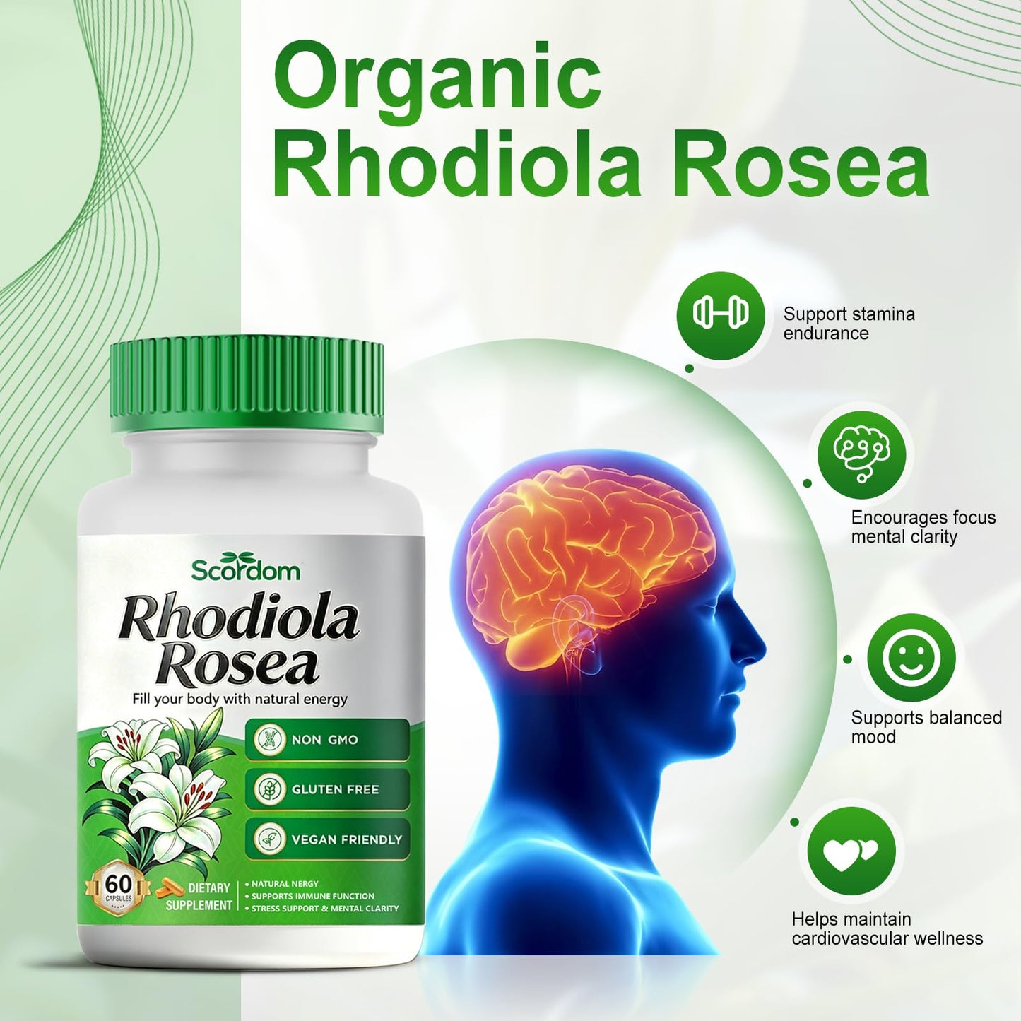 SCORDOM Rhodiola Rosea Supplement Capsule, 60 Capsules