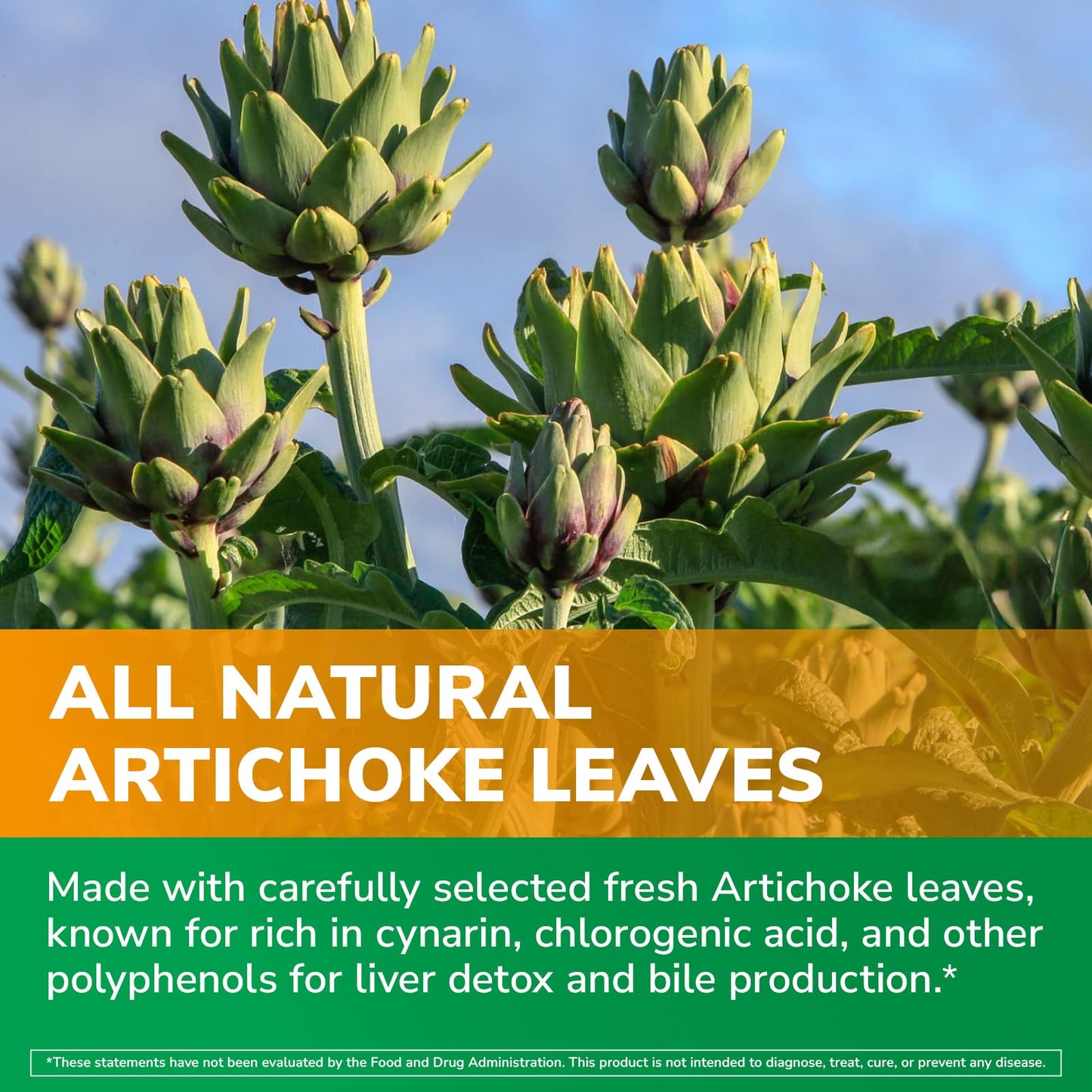 Vitalibre Artichoke Leaf Extract 600 mg Capsule, 90 Count