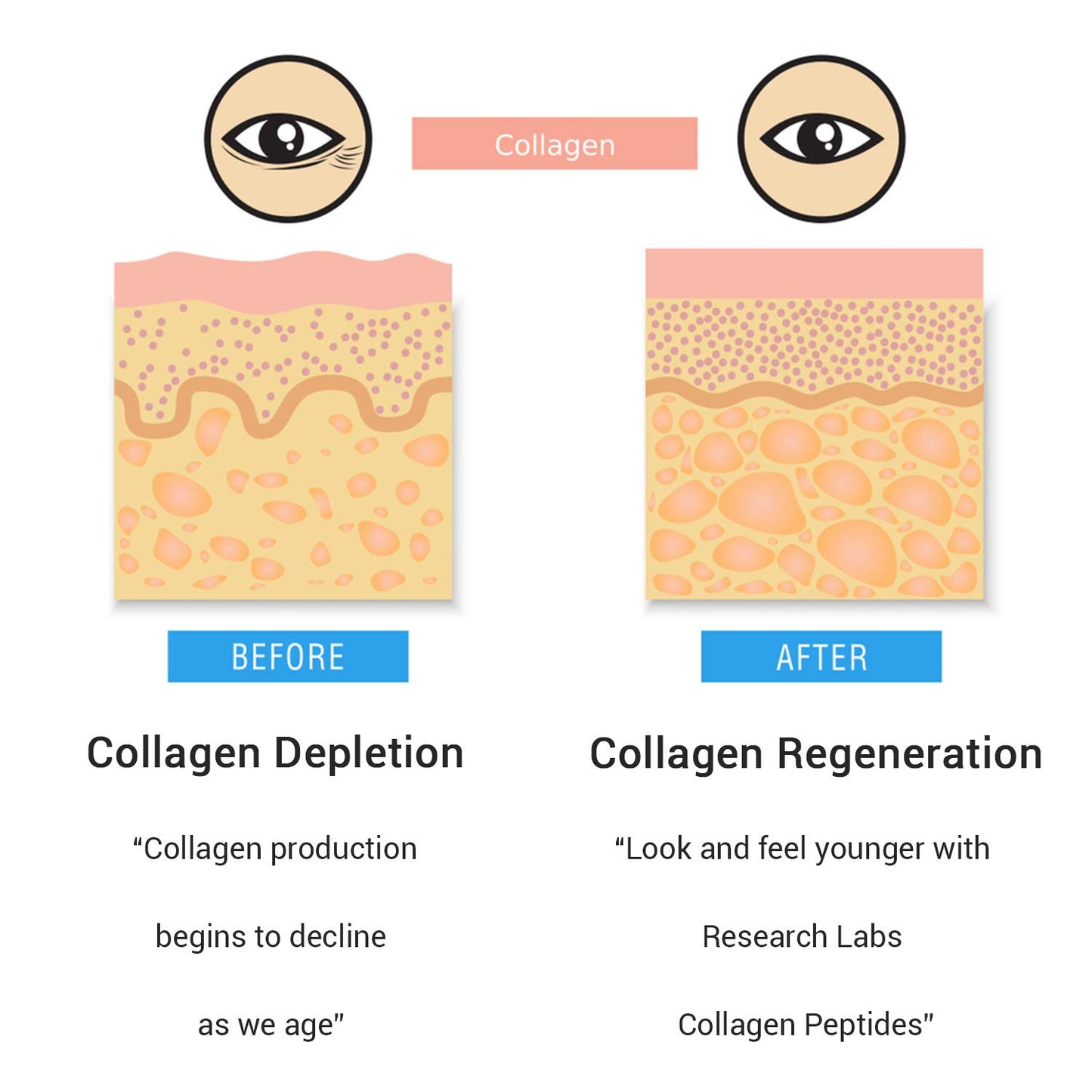 Research Labs Collagen Capsules 240 Capsules