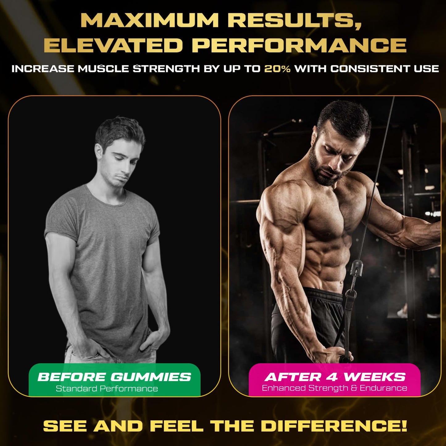 ZyterX Creatine Monohydrate Gummies, 240 Gummies