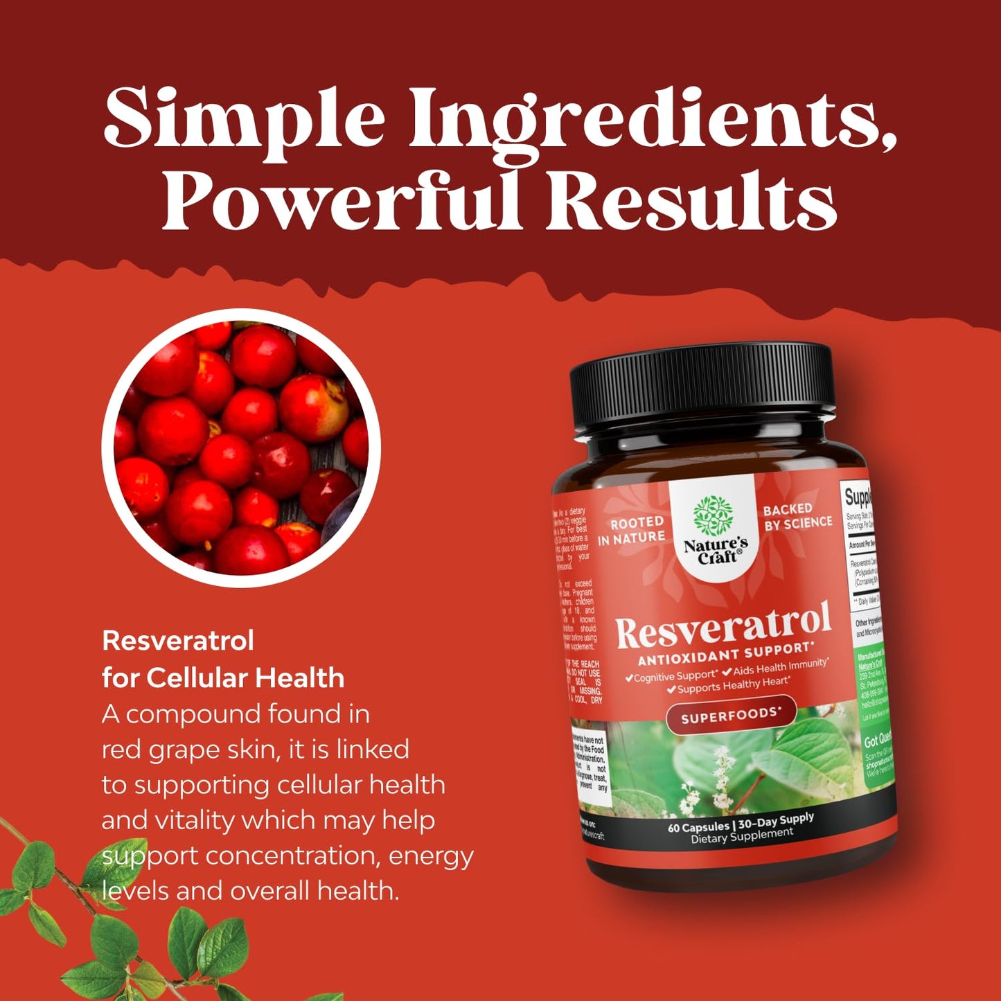 Natures Craft Youthful Trans Resveratrol Supplement Capsules, 60 Count
