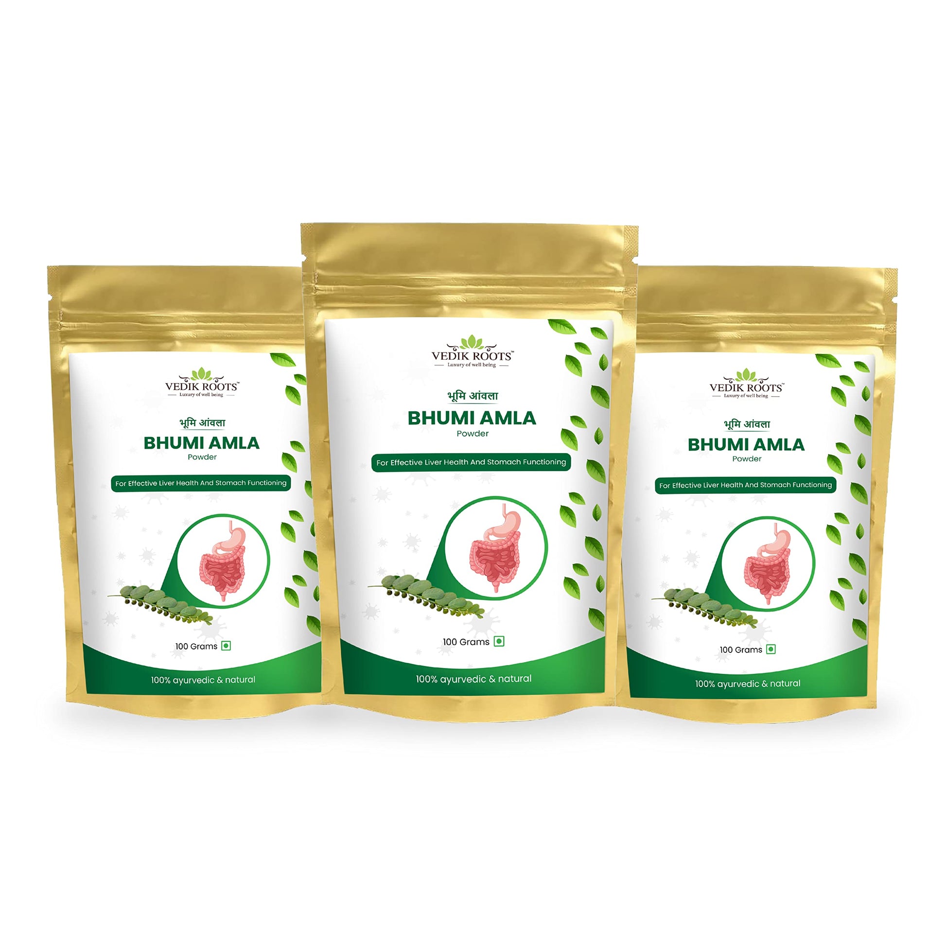 VEDIKROOTS Bhumi Amla Powder Pack of 3, 0.03 oz each