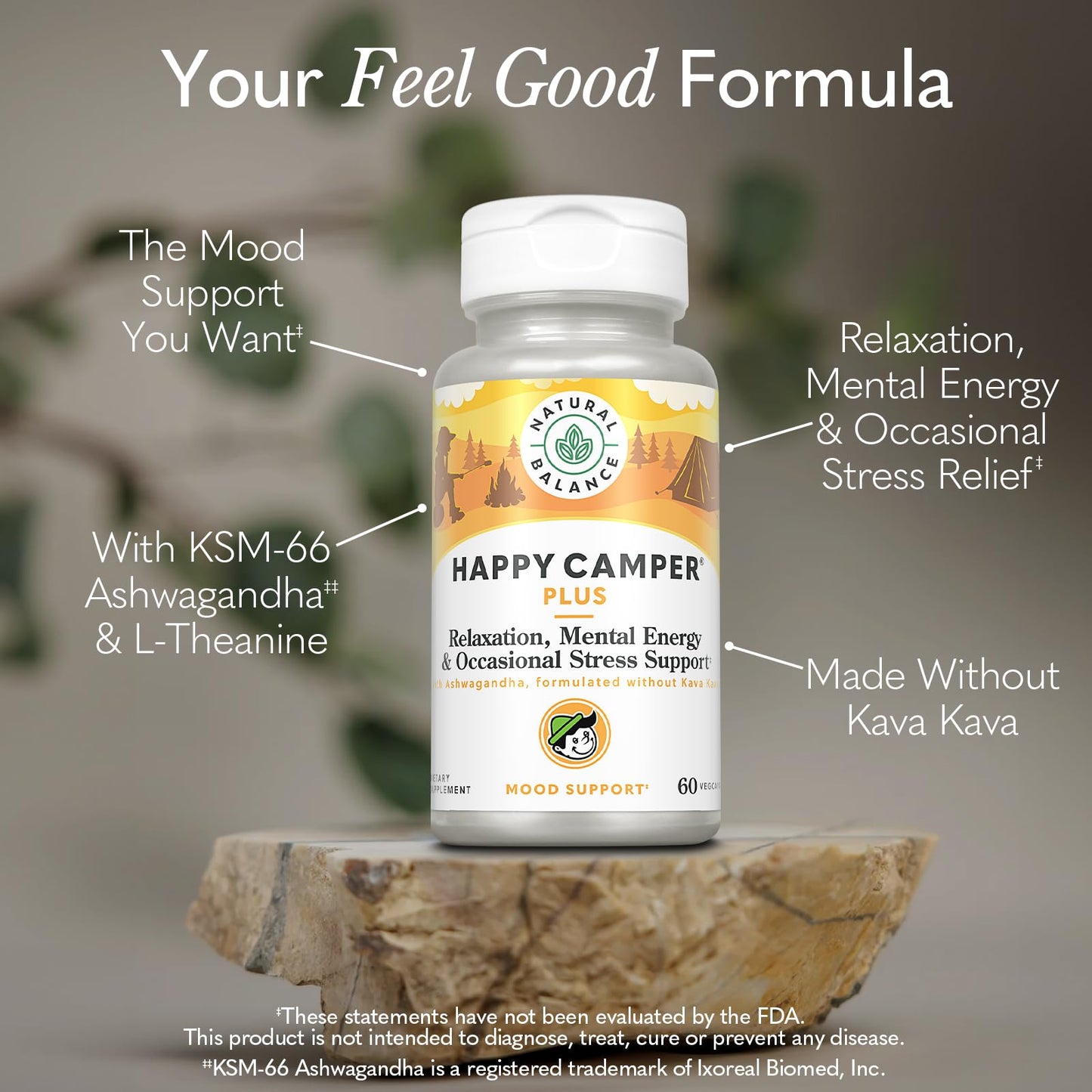 Natural Balance Happy Camper Plus Capsule, 60 Count — Supports Relaxation, Mental Energy, and Occasional Stress with KSM-66 Ashwagandha, L-Theanine 200mg, Passion Flower, Lemon Balm, Holy Basil