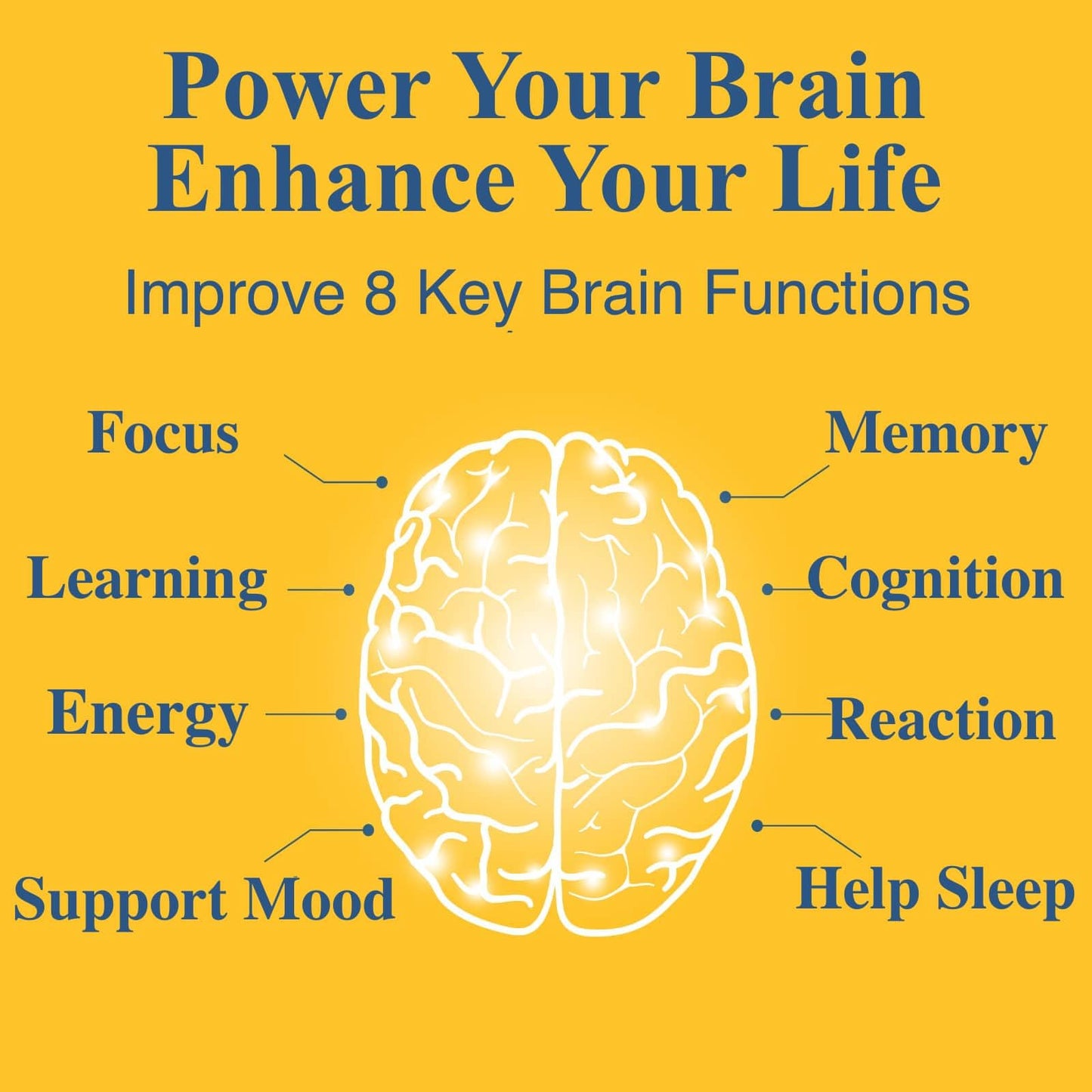OPTINOURISH Brain Supplement for Memory and Focus, Nootropic for Adults, Fuel Brain Energy & Mental Clarity, Caffeine Free, Cognitive Support, Doctor-Formulated, Made in USA, cGMP, 120 Capsules