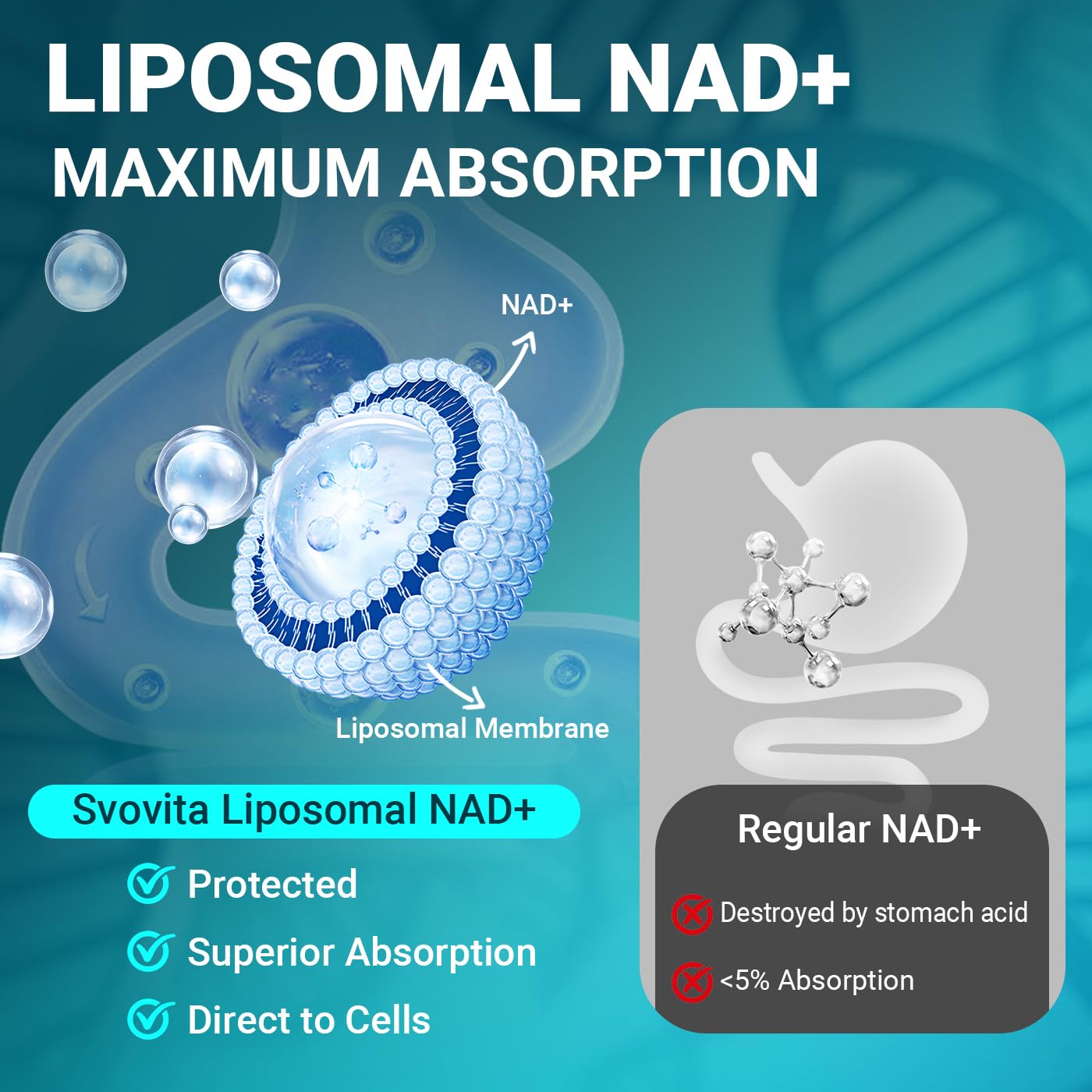 Svovita NAD Supplement 500mg Liposomal NAD+ Supplement with Trans-Resveratrol for Women & Men, Vegan Non-GMO, 60 Capsules